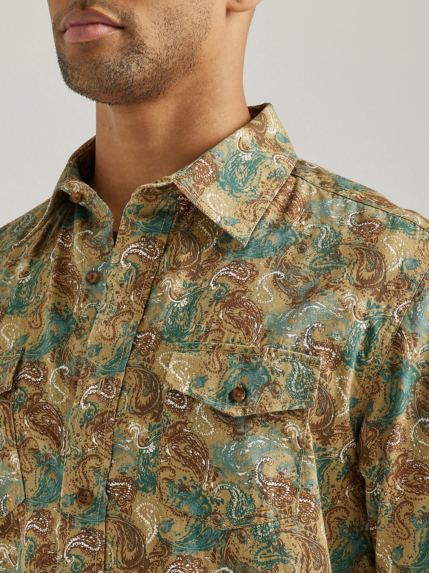 Painted Tan Paisley