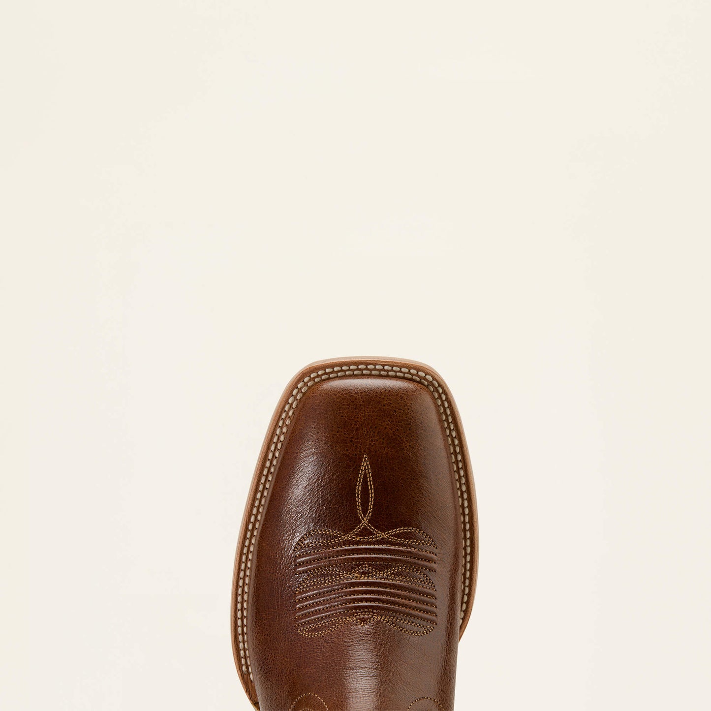 GINGERSNAP|SUPPLE BLACK