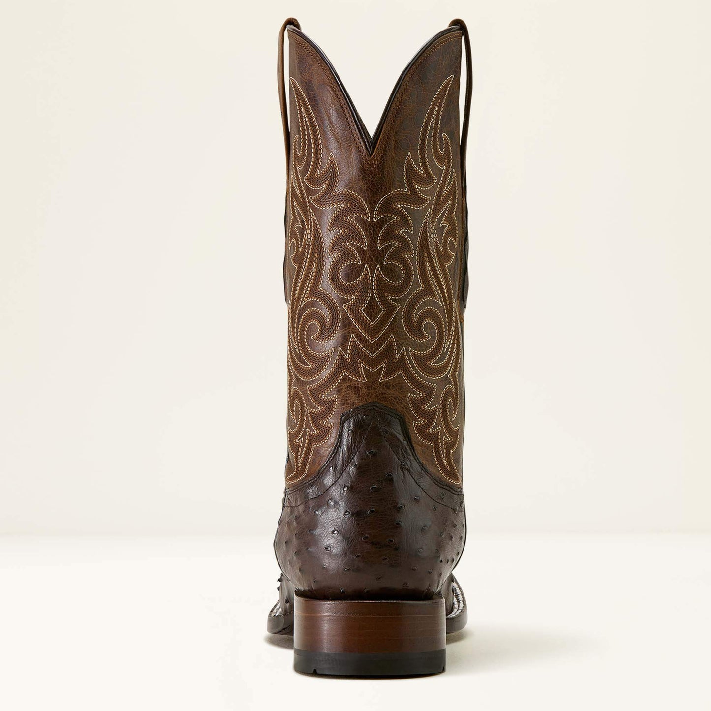 CIGAR FULL QUILL OSTRICH|LOCO BROWN