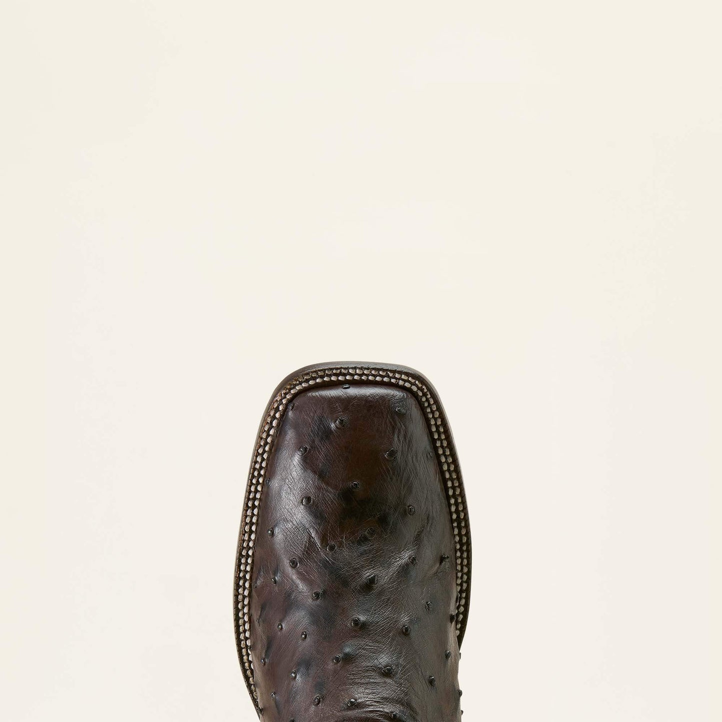 CIGAR FULL QUILL OSTRICH|LOCO BROWN