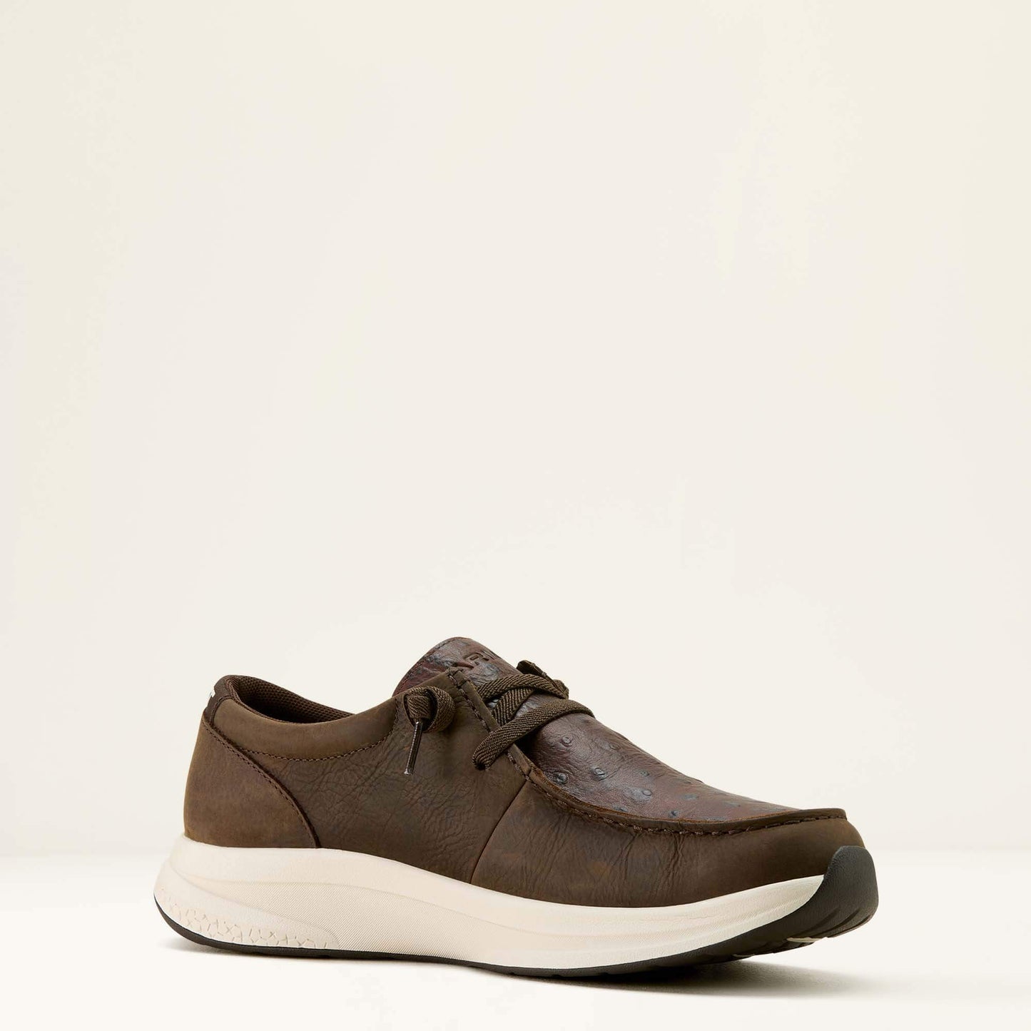 DARK CHOCOLATE|CHOCOLATE FULL QUILL OSTRICH P