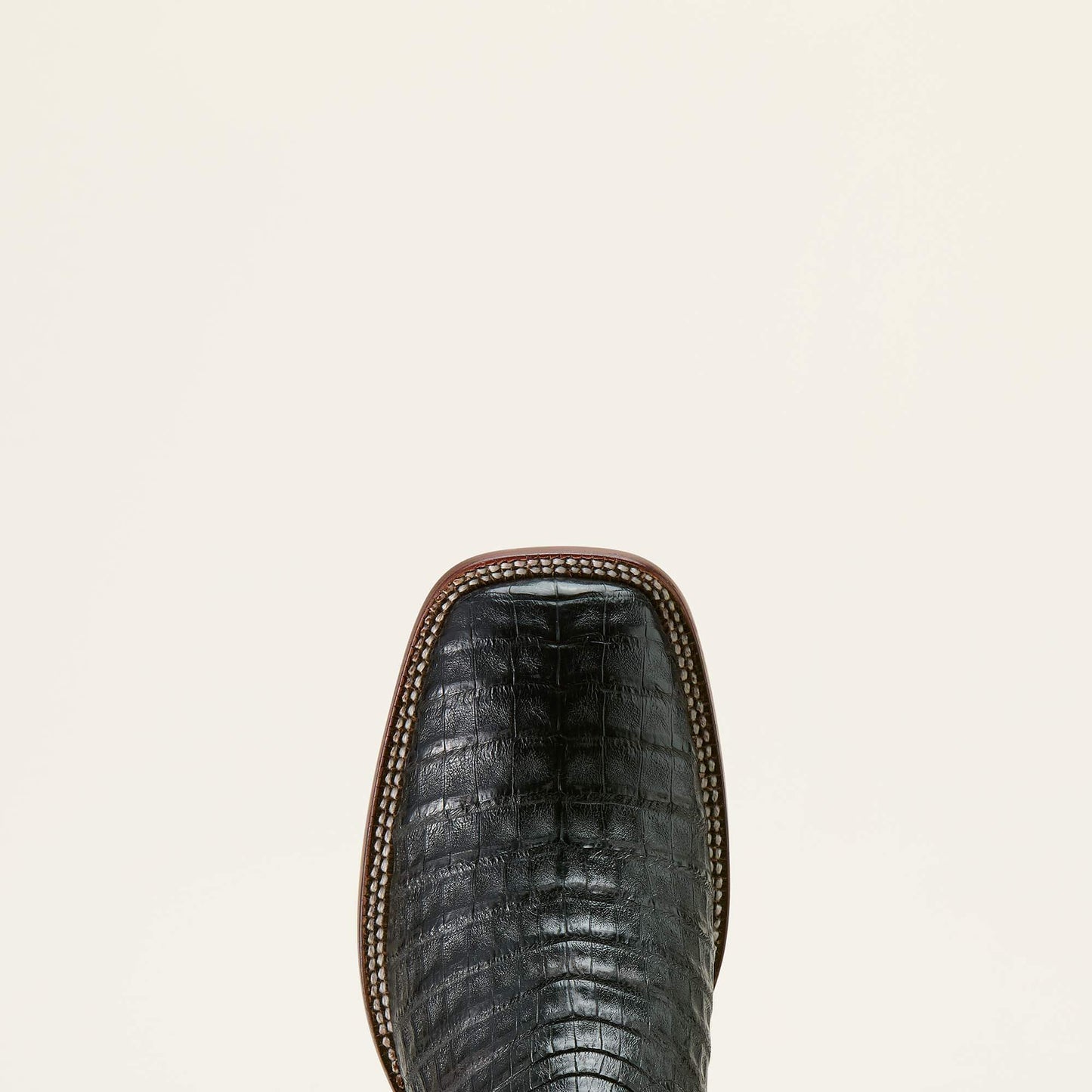 MATTE BLACK CAIMAN BELLY|MIDNIGHT BLACK