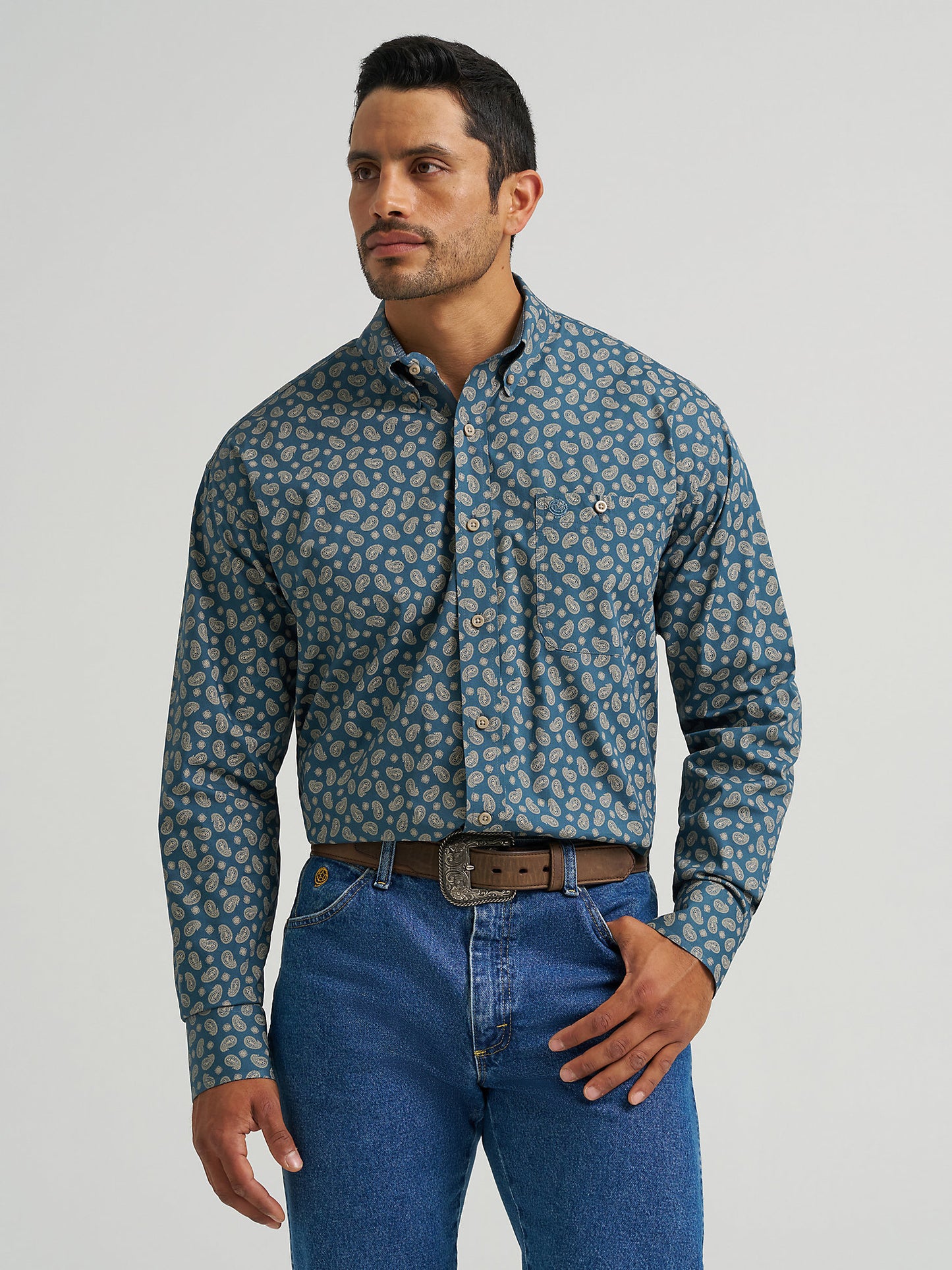 Mallard Paisley