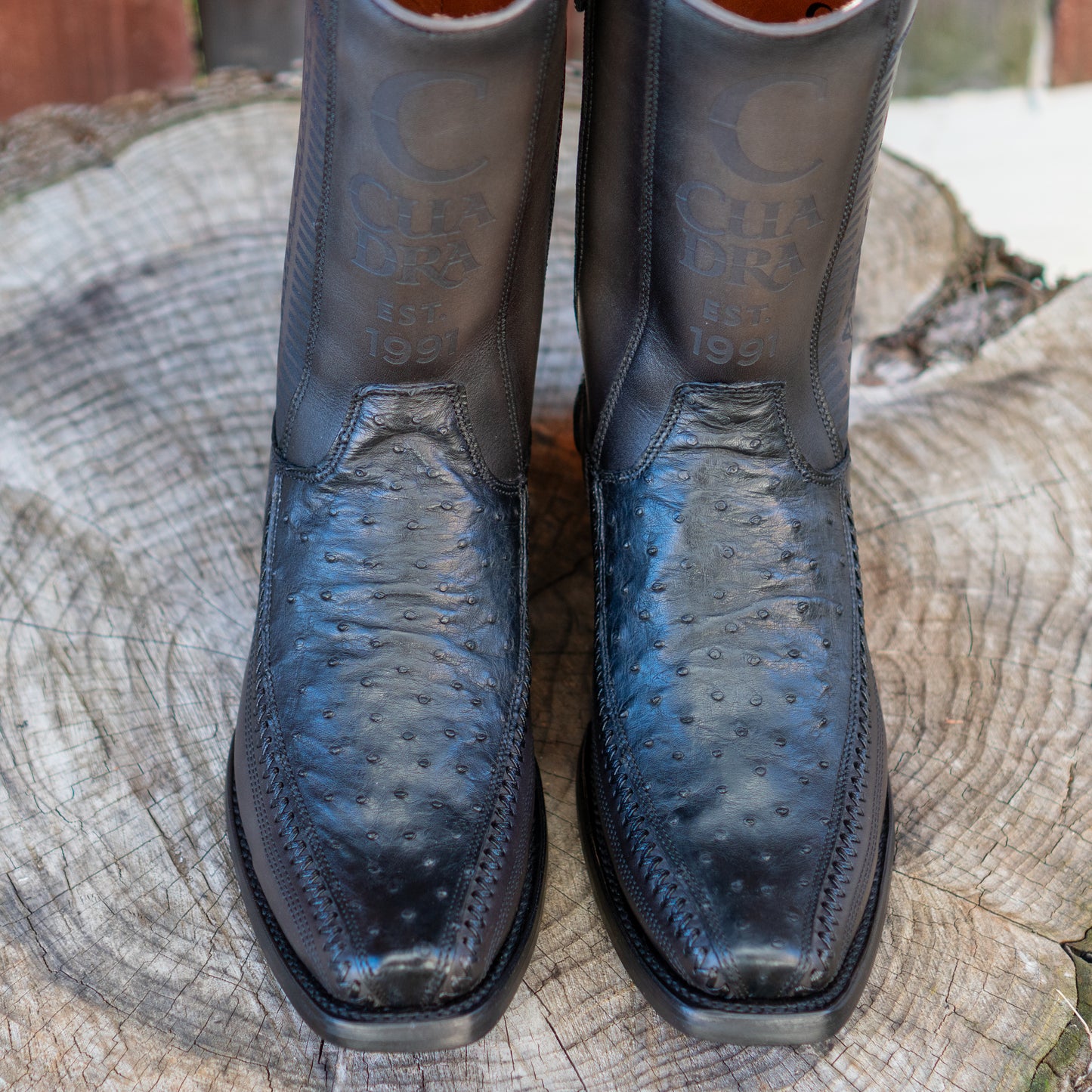 Cuadra Men's Ostrich Laser And Embroidery Narrow Square Toe Cowboy Boots in Black CU802