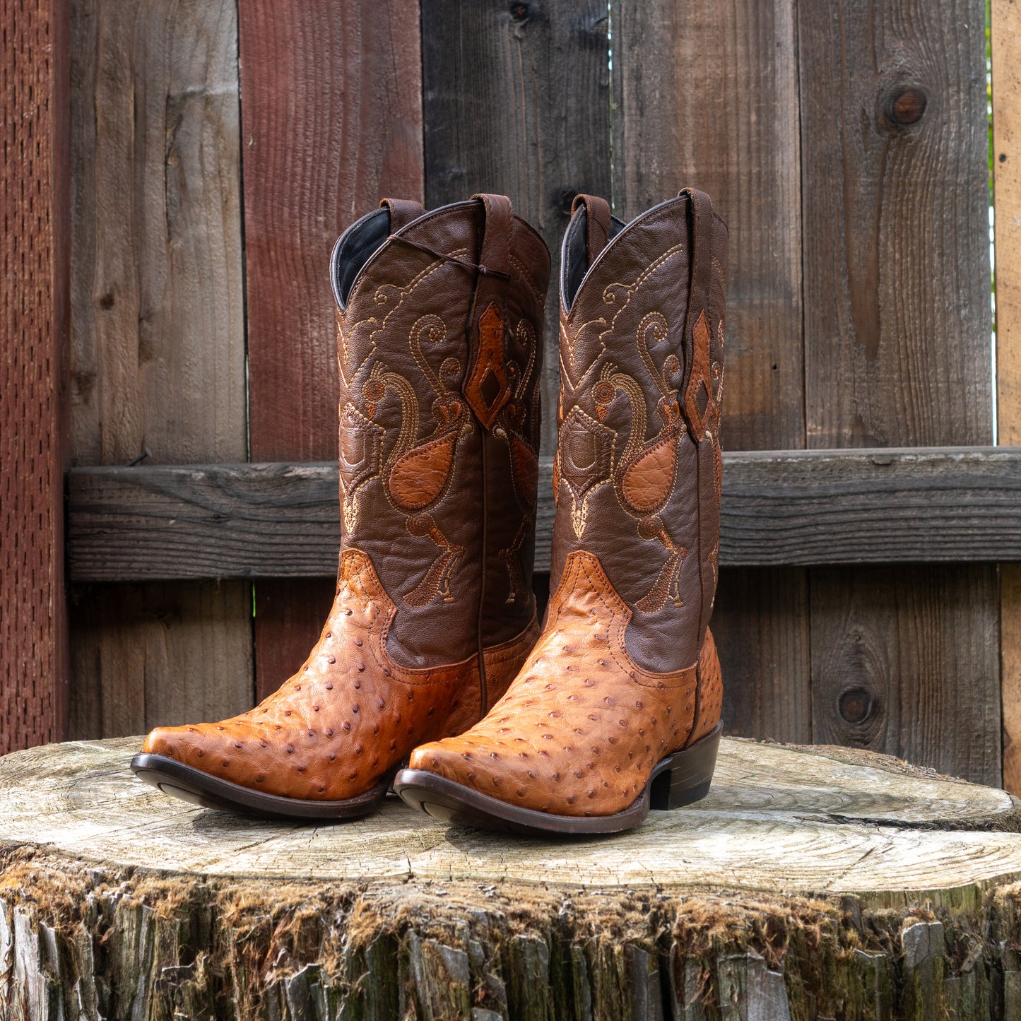 Cuadra Men's Ostrich Cowboy Boots in Honey