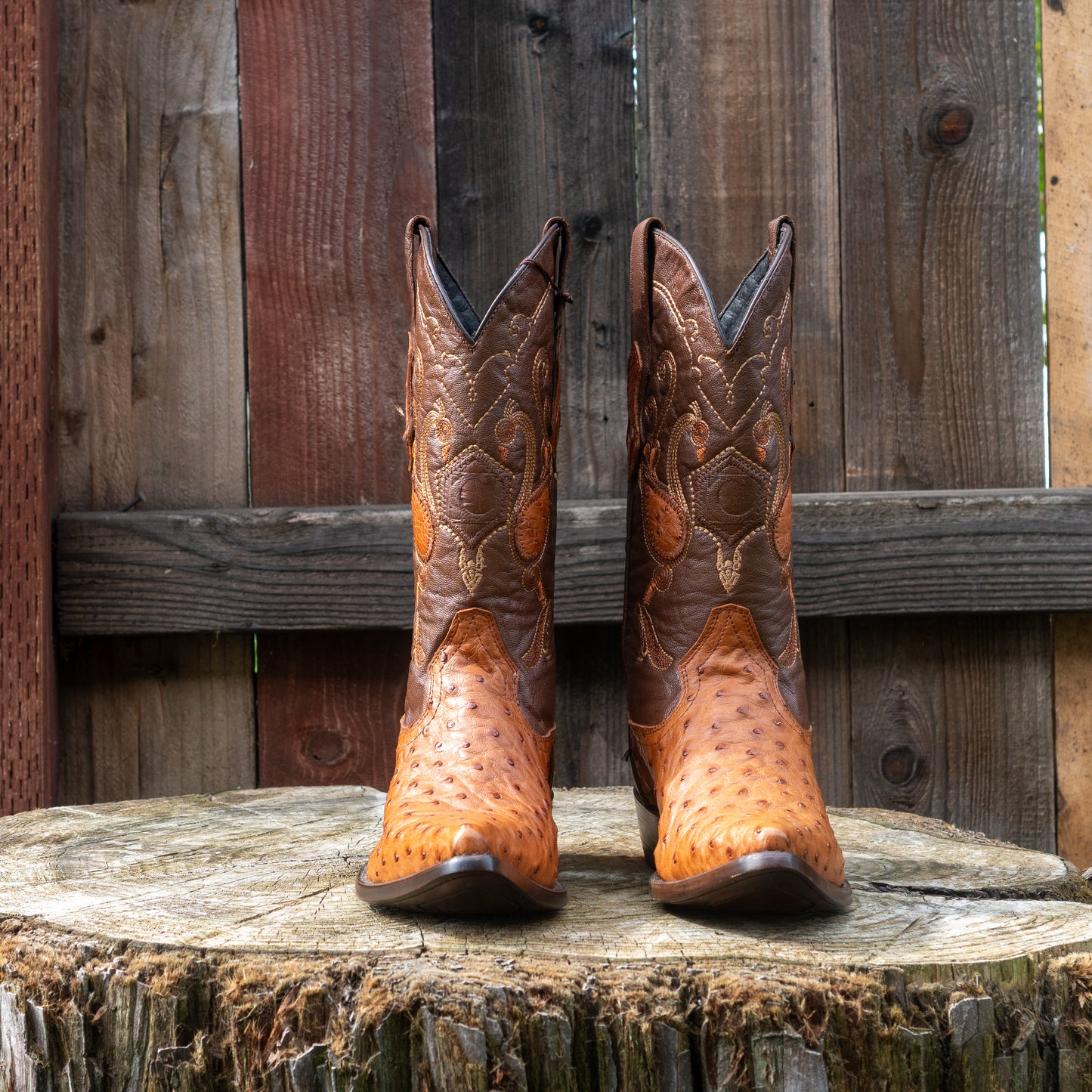 Cuadra Men's Ostrich Cowboy Boots in Honey