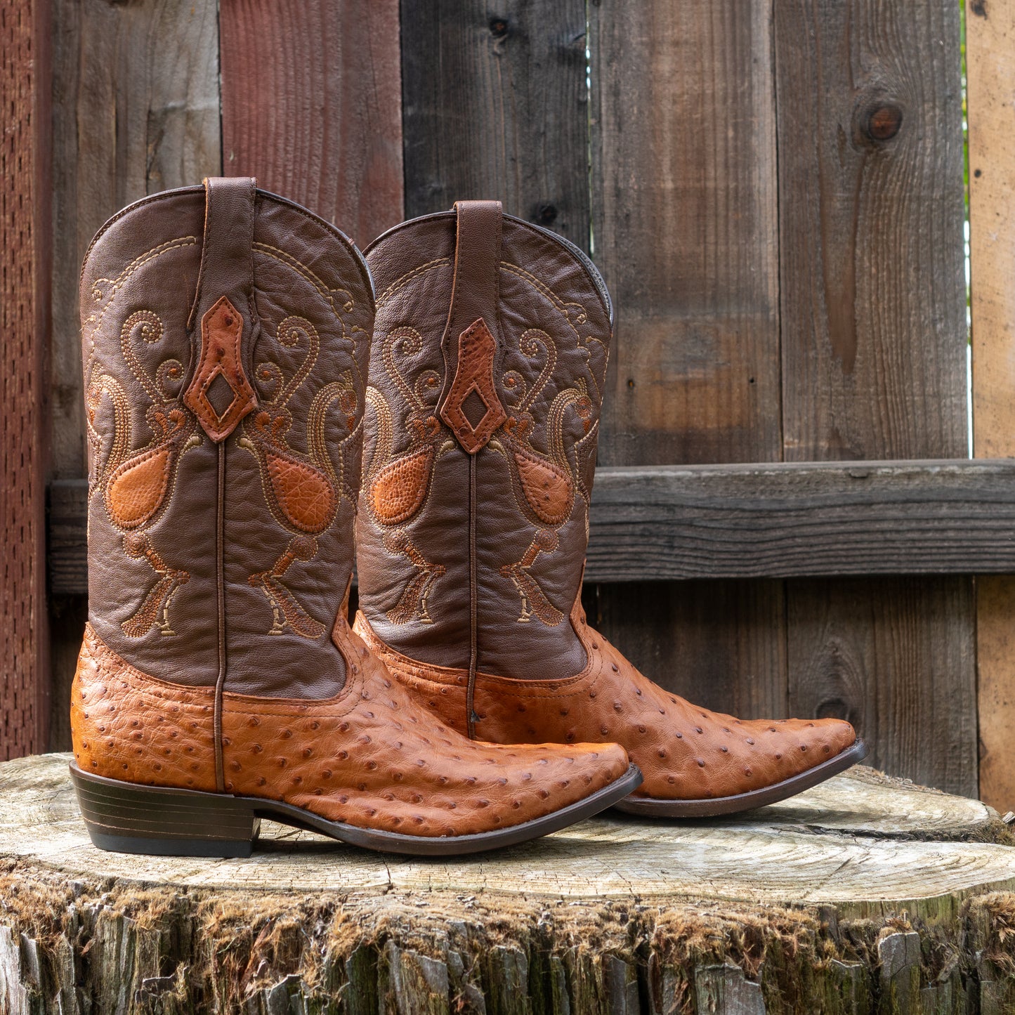 Cuadra Men's Ostrich Cowboy Boots in Honey
