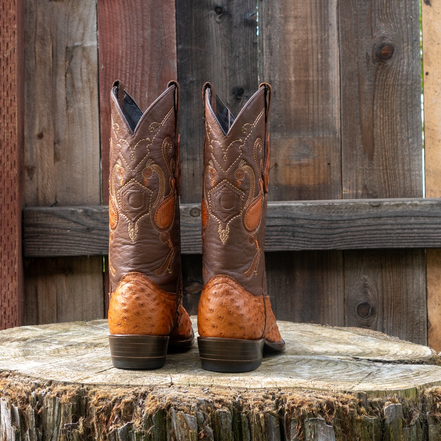 Cuadra Men's Ostrich Cowboy Boots in Honey