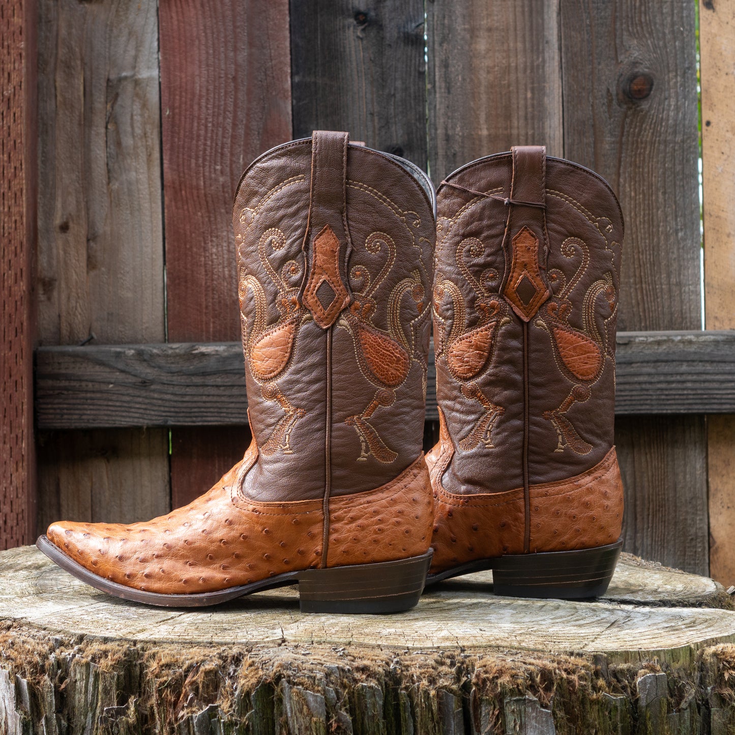 Cuadra Men's Ostrich Cowboy Boots in Honey