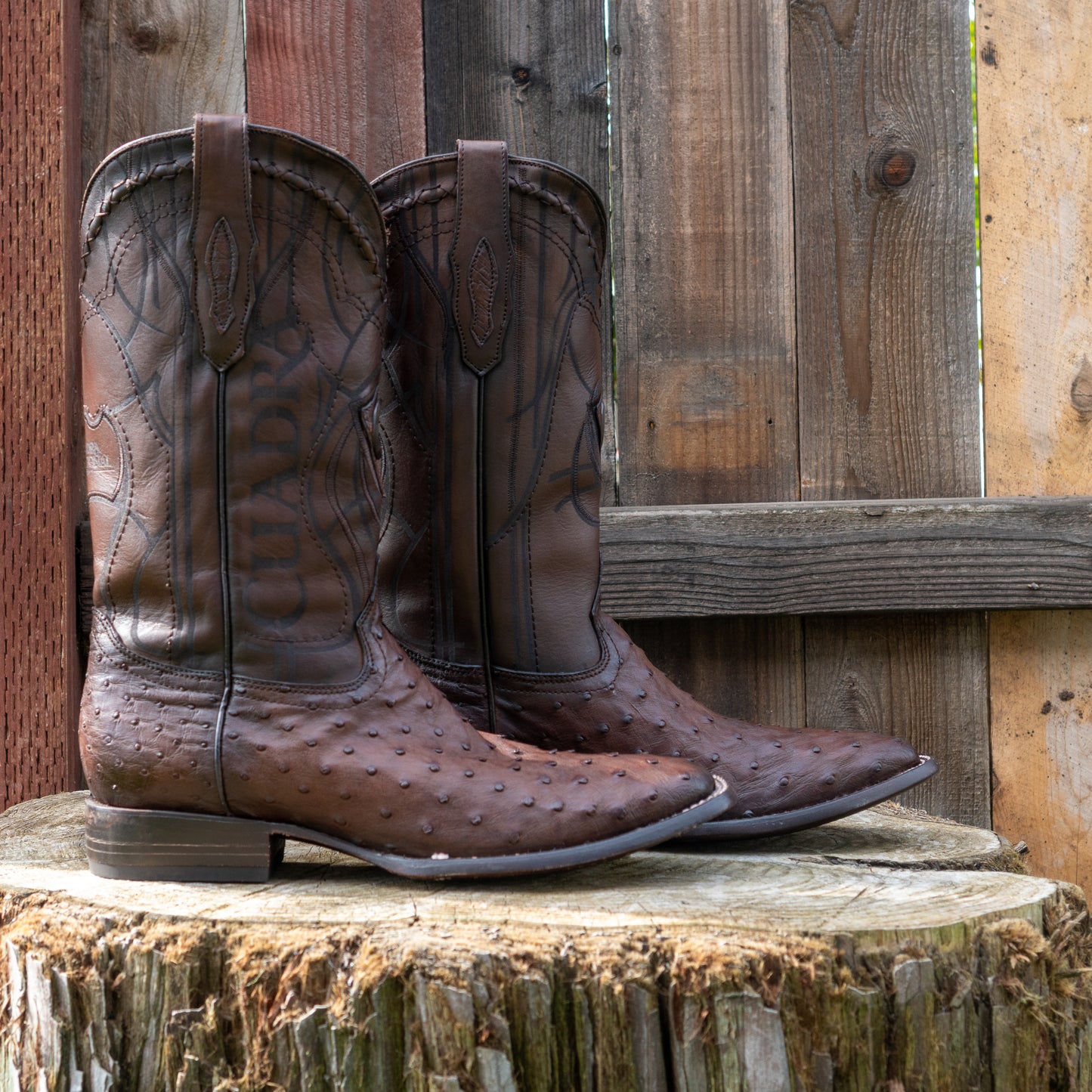 Cuadra Men's Ostrich Laser And Embroidery Square Toe Cowboy Boots in Flame Brown