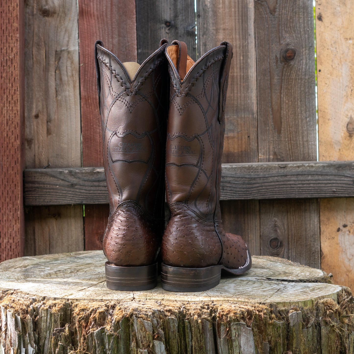Cuadra Men's Ostrich Laser And Embroidery Square Toe Cowboy Boots in Flame Brown