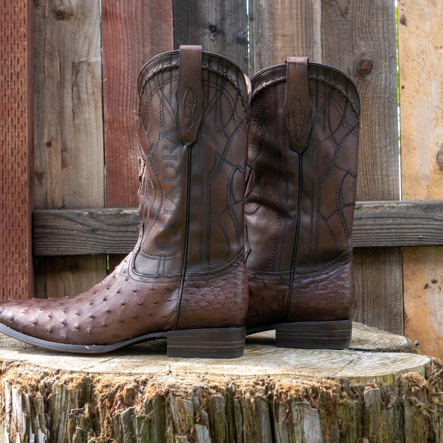 Cuadra Men's Ostrich Laser And Embroidery Square Toe Cowboy Boots in Flame Brown
