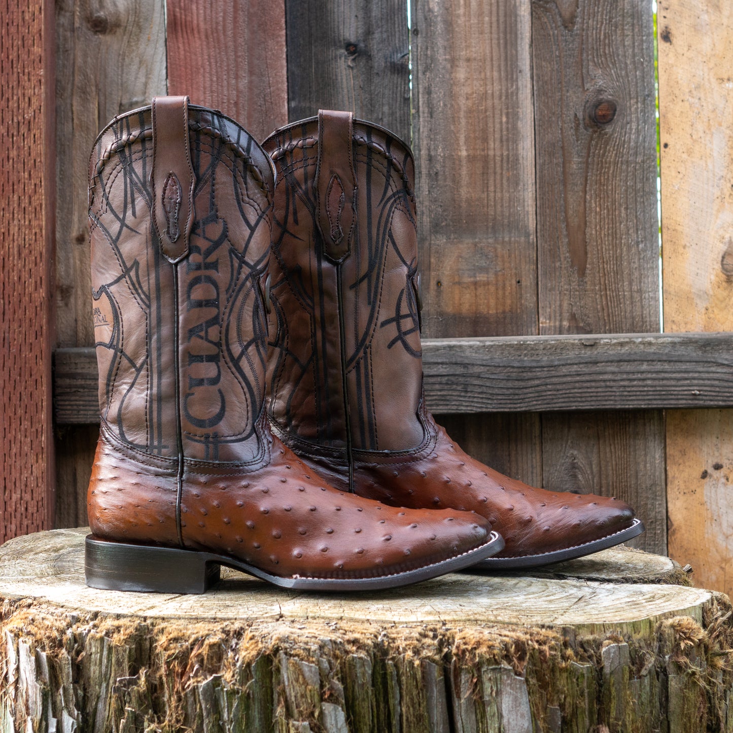 Cuadra Men's Ostrich Laser And Embroidery Square Toe Cowboy Boots in Brown