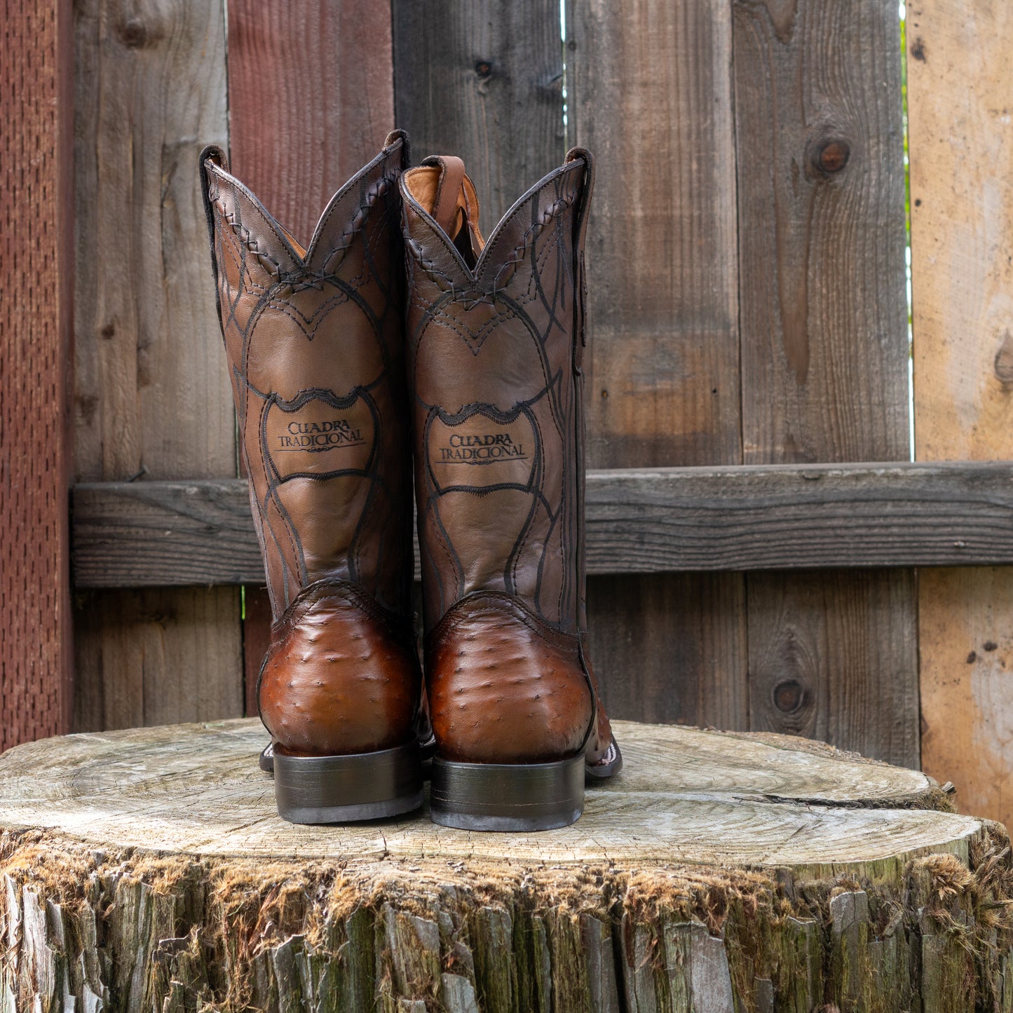 Cuadra Men's Ostrich Laser And Embroidery Square Toe Cowboy Boots in Brown