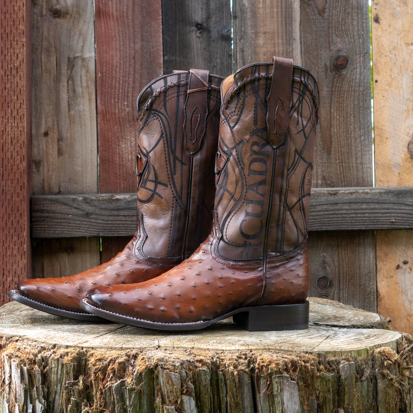 Cuadra Men's Ostrich Laser And Embroidery Square Toe Cowboy Boots in Brown