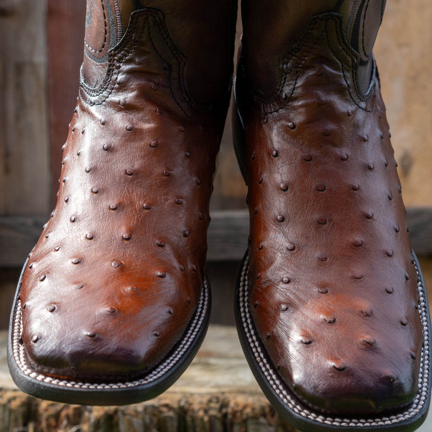 Cuadra Men's Ostrich Laser And Embroidery Square Toe Cowboy Boots in Brown
