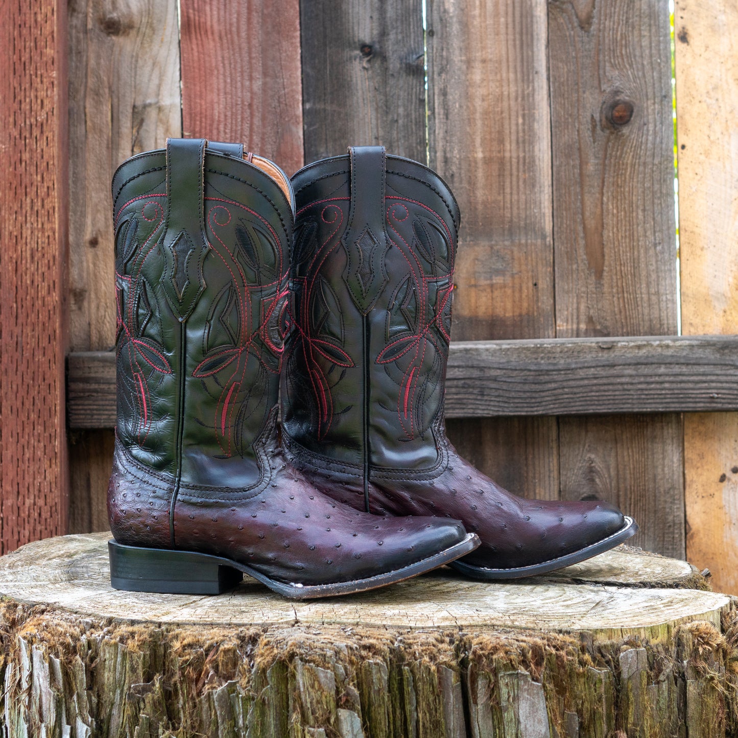 Cuadra Men's Ostrich Cowboy Boots in Black Cherry