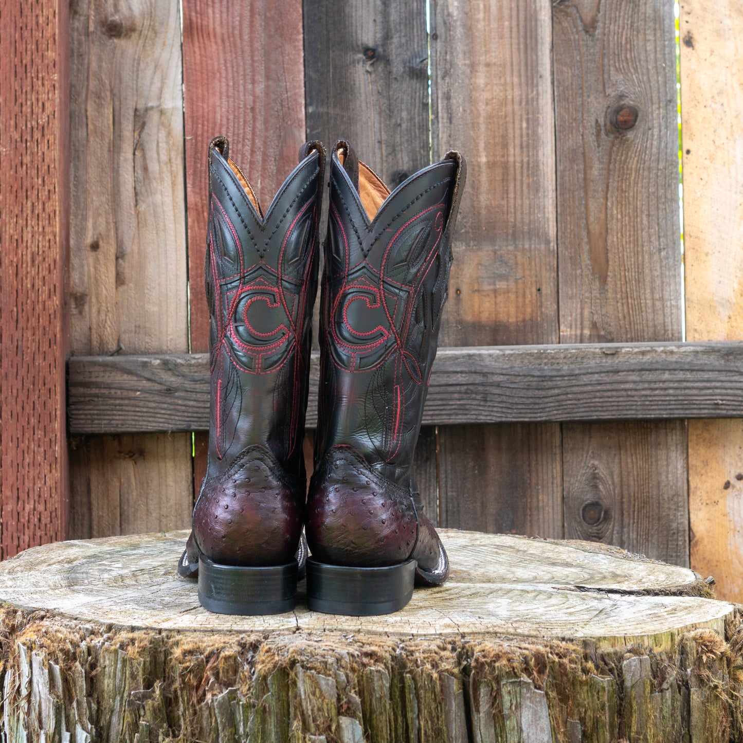 Cuadra Men's Ostrich Cowboy Boots in Black Cherry