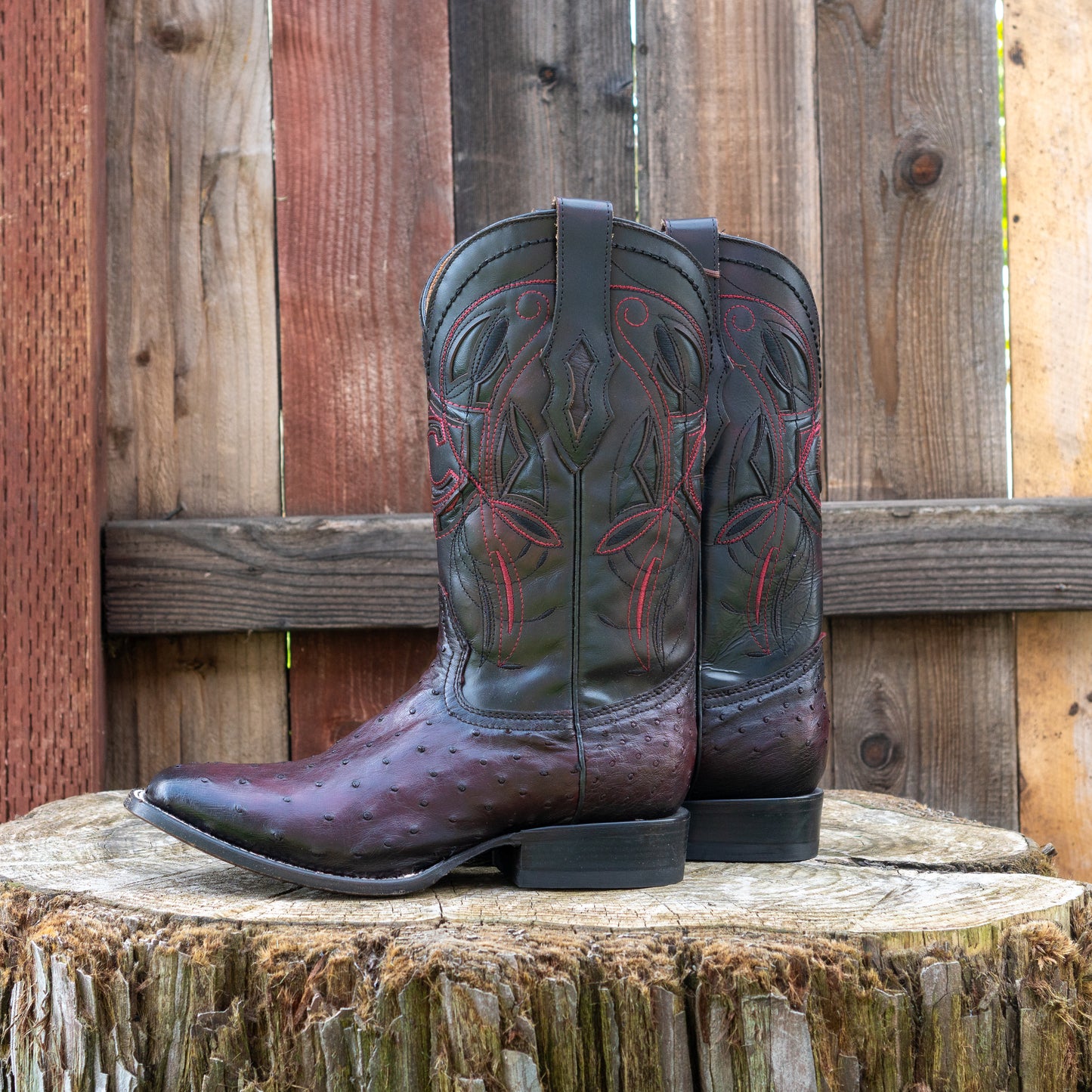 Cuadra Men's Ostrich Cowboy Boots in Black Cherry