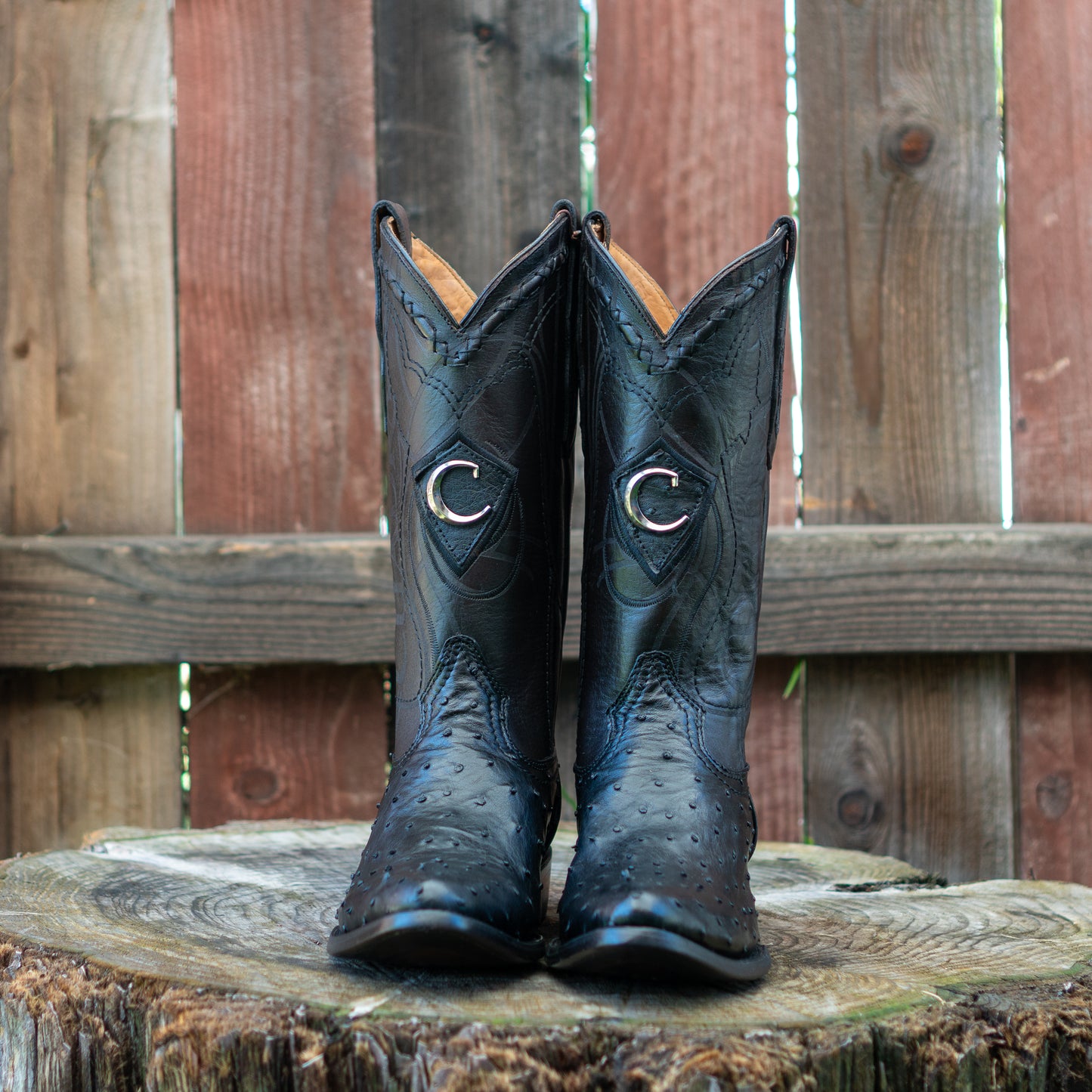 Cuadra Men's Ostrich Laser And Embroidery Round Toe Cowboy Boots in Black