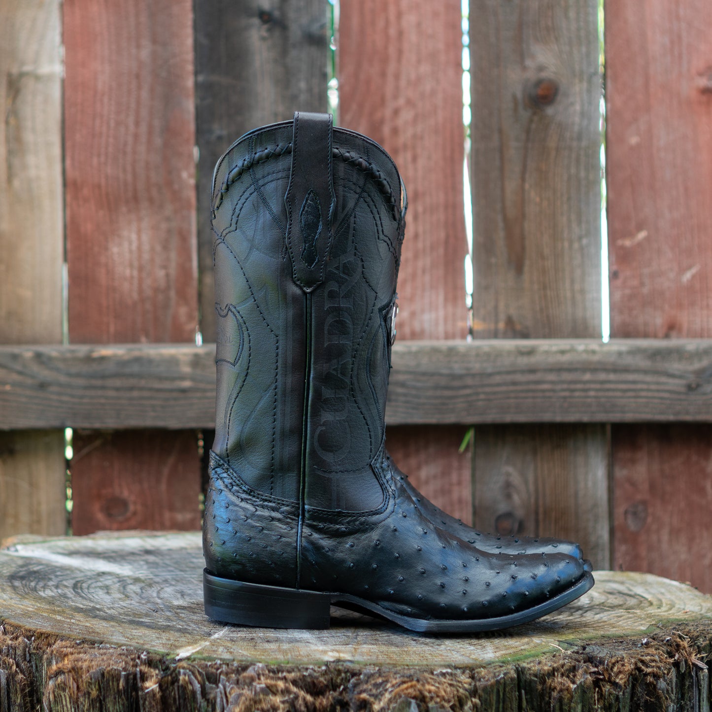 Cuadra Men's Ostrich Laser And Embroidery Round Toe Cowboy Boots in Black