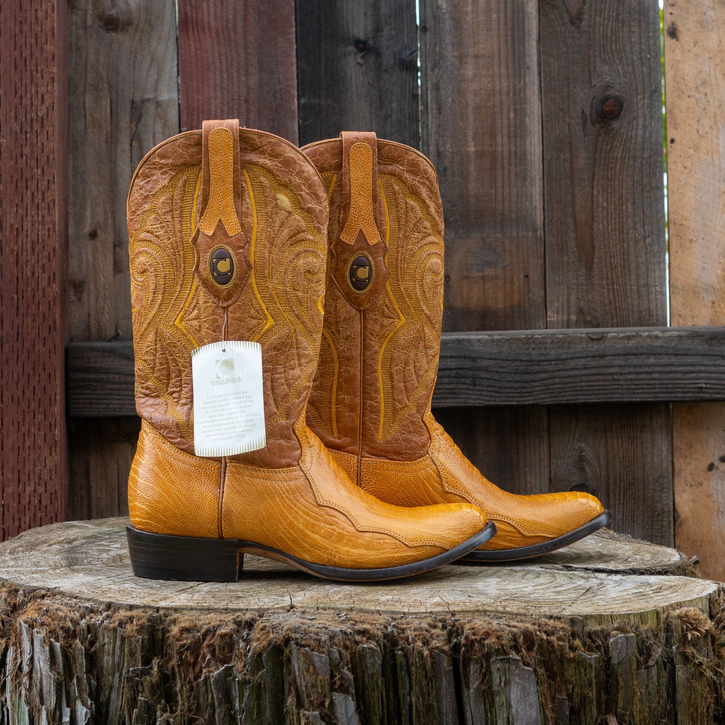 Cuadra Men's Ostrich Leg Laser And Woven Narrow Snip Toe Exotic Leather Cowboy Boots in Yellow