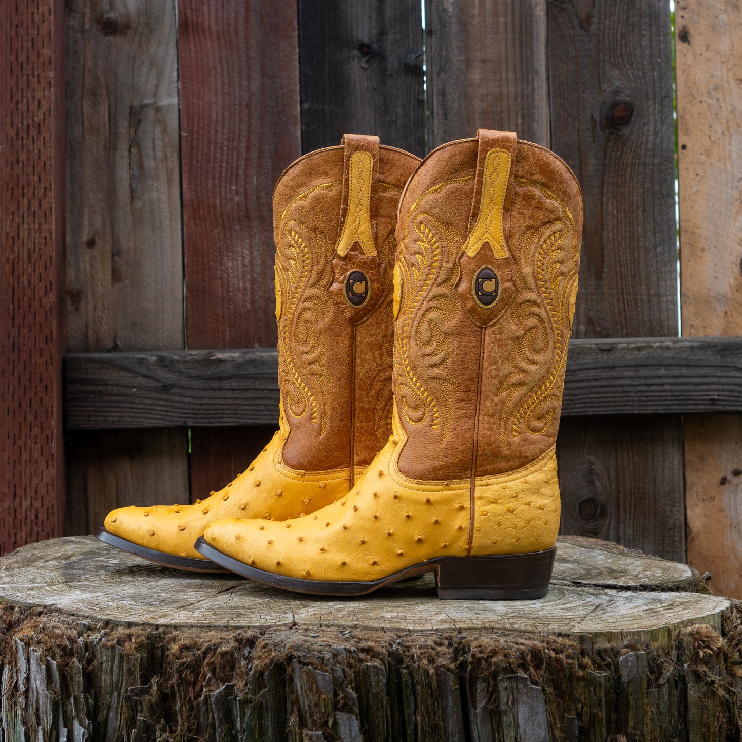 Cuadra Men's Ostrich Round Toe Cowboy Boots in Yellow