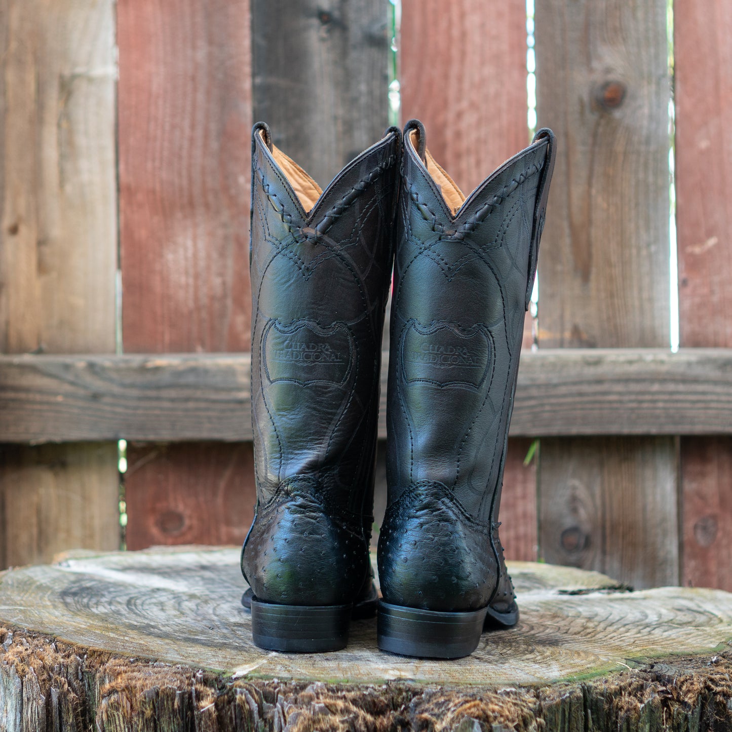 Cuadra Men's Ostrich Laser And Embroidery Round Toe Cowboy Boots in Black