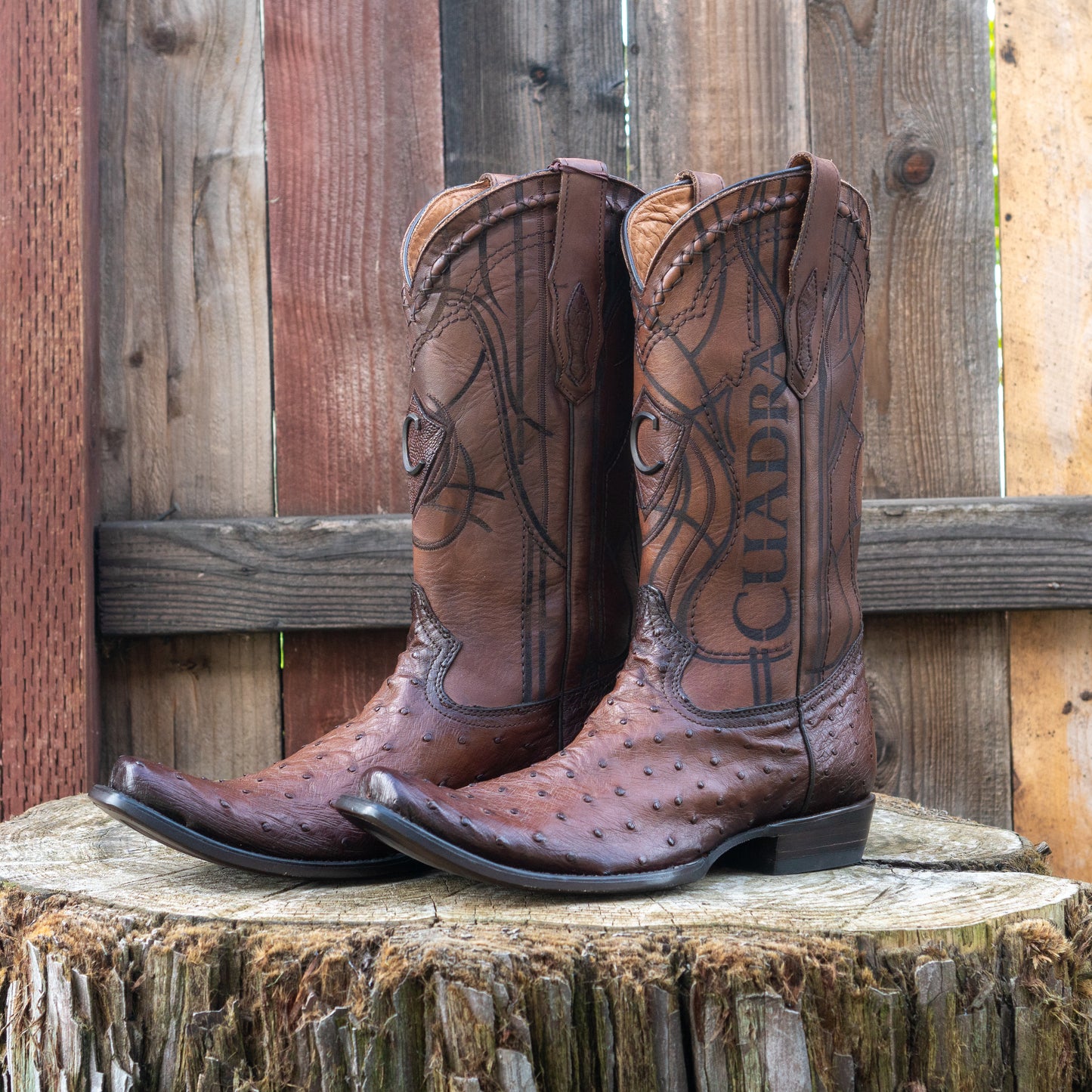 Cuadra Men's Ostrich Cowboy Boots in Flame Brown