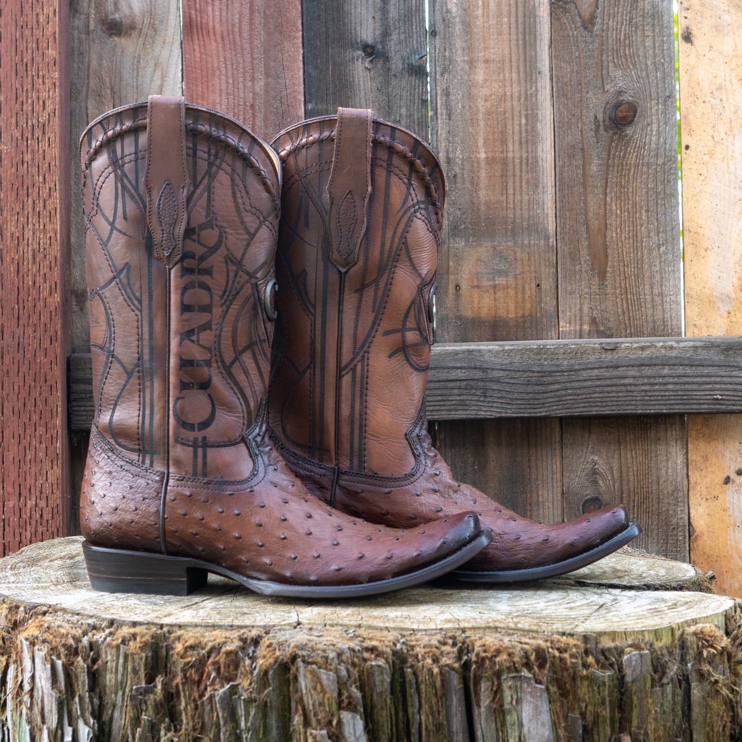 Cuadra Men's Ostrich Cowboy Boots in Flame Brown