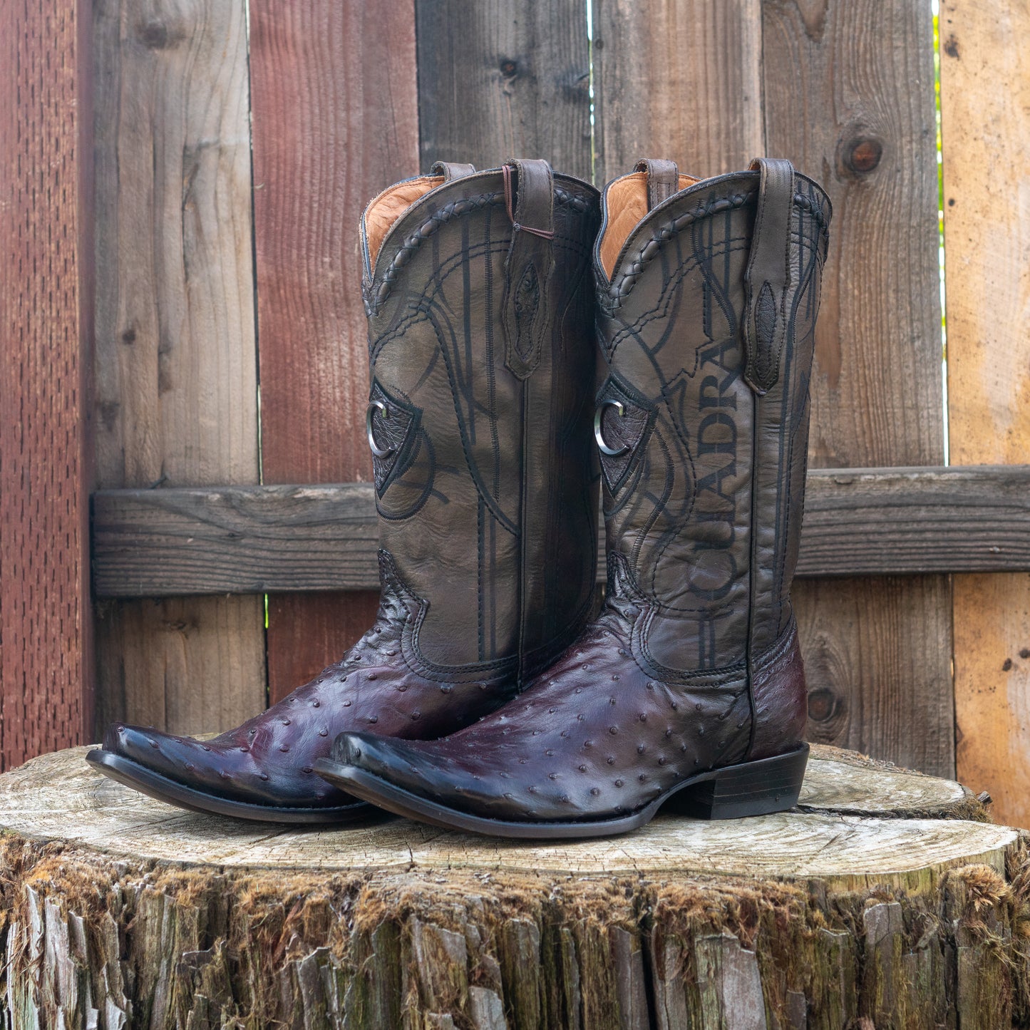 Cuadra Men's Ostrich Cowboy Boots in Flame Black Cherry