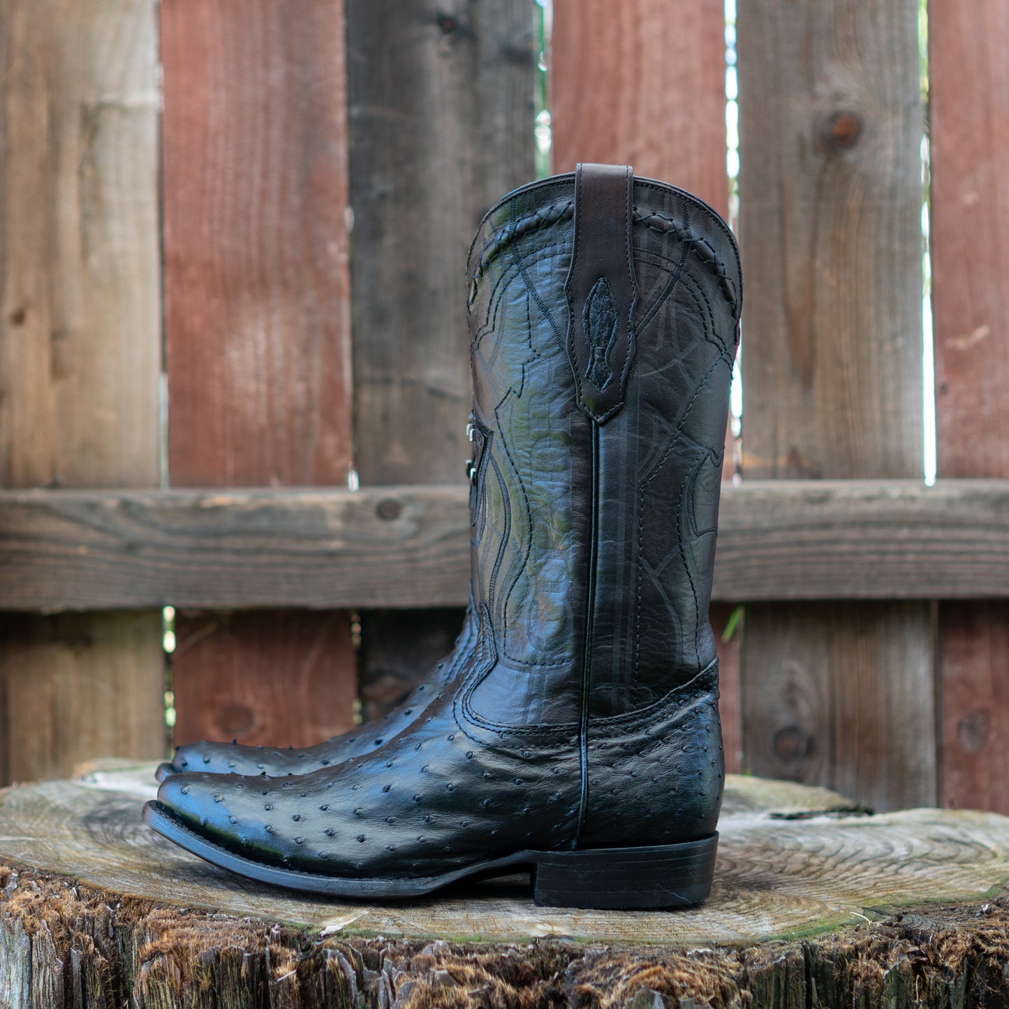 Cuadra Men's Ostrich Laser And Embroidery Round Toe Cowboy Boots in Black