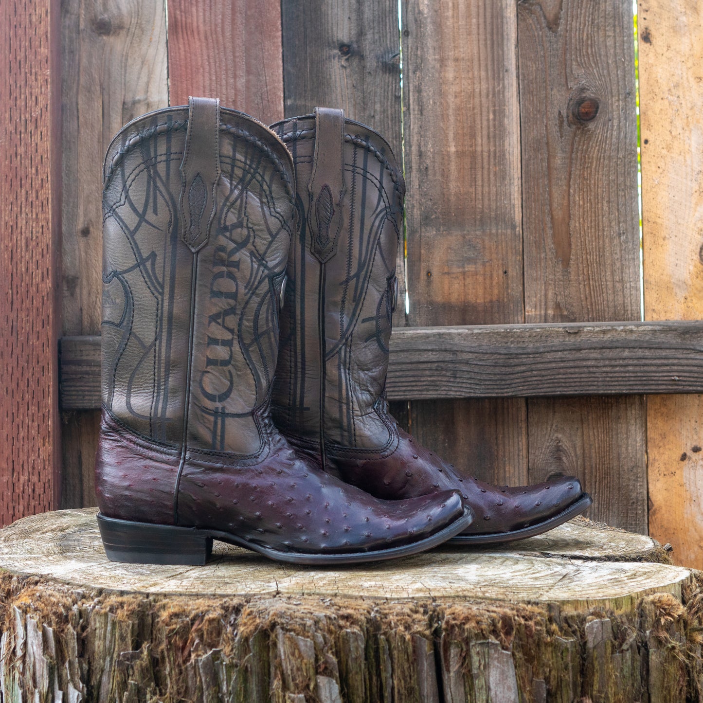 Cuadra Men's Ostrich Cowboy Boots in Flame Black Cherry