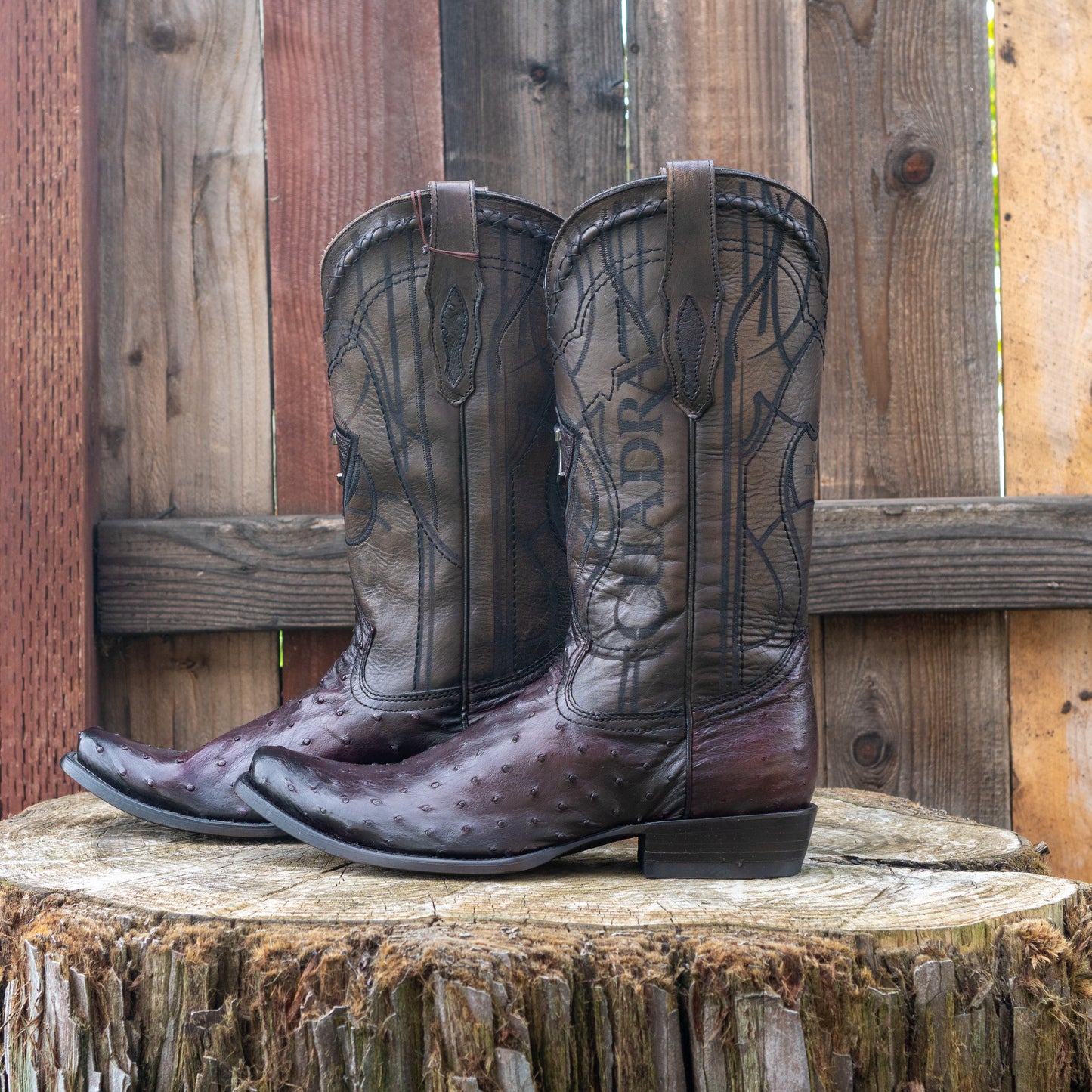 Cuadra Men's Ostrich Cowboy Boots in Flame Black Cherry