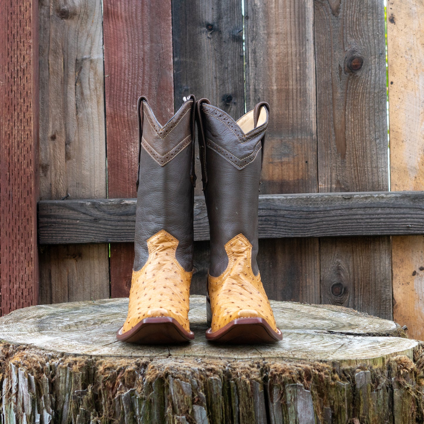 Cuadra Men's Ostrich Cowboy Boots in Straw Color