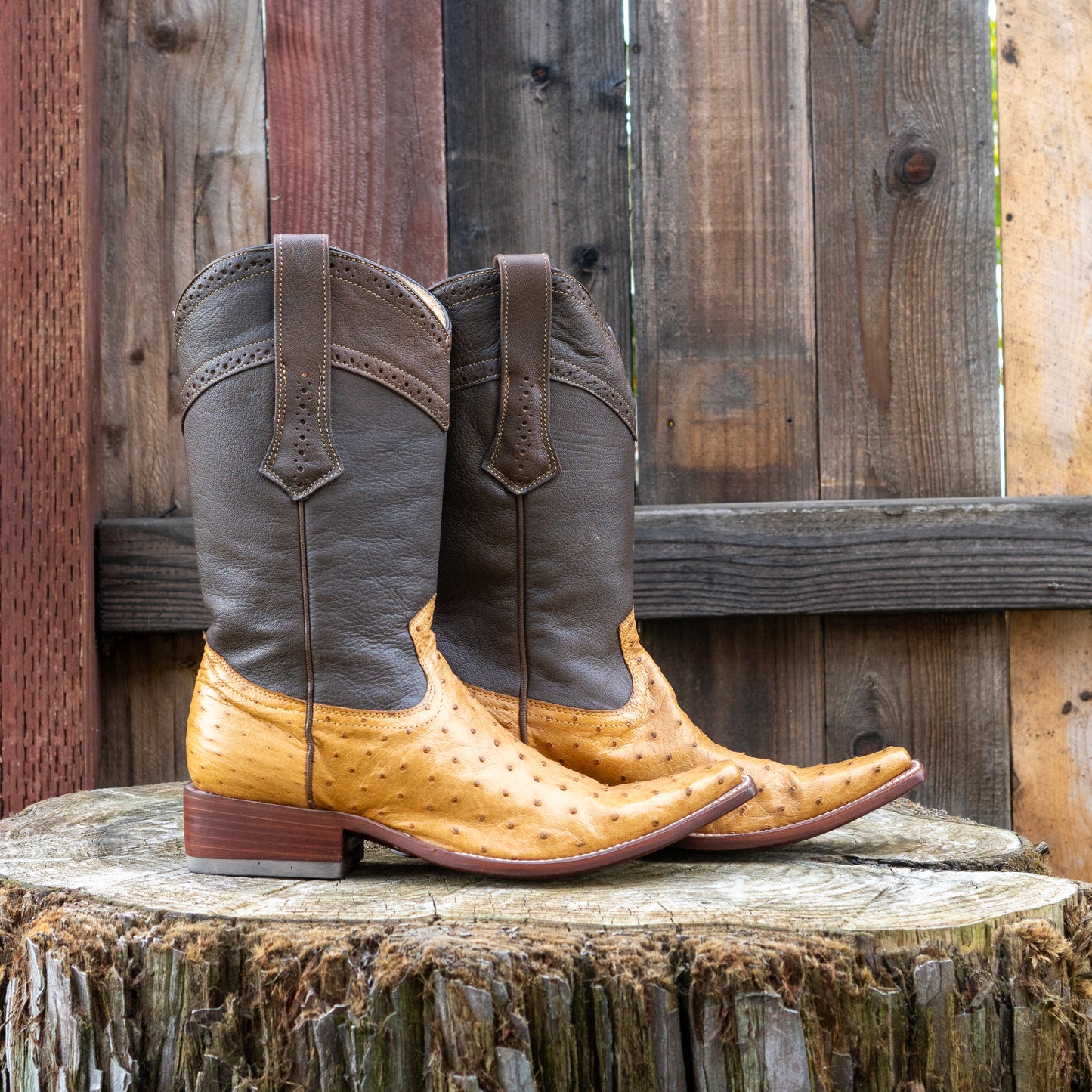 Cuadra Men's Ostrich Cowboy Boots in Straw Color