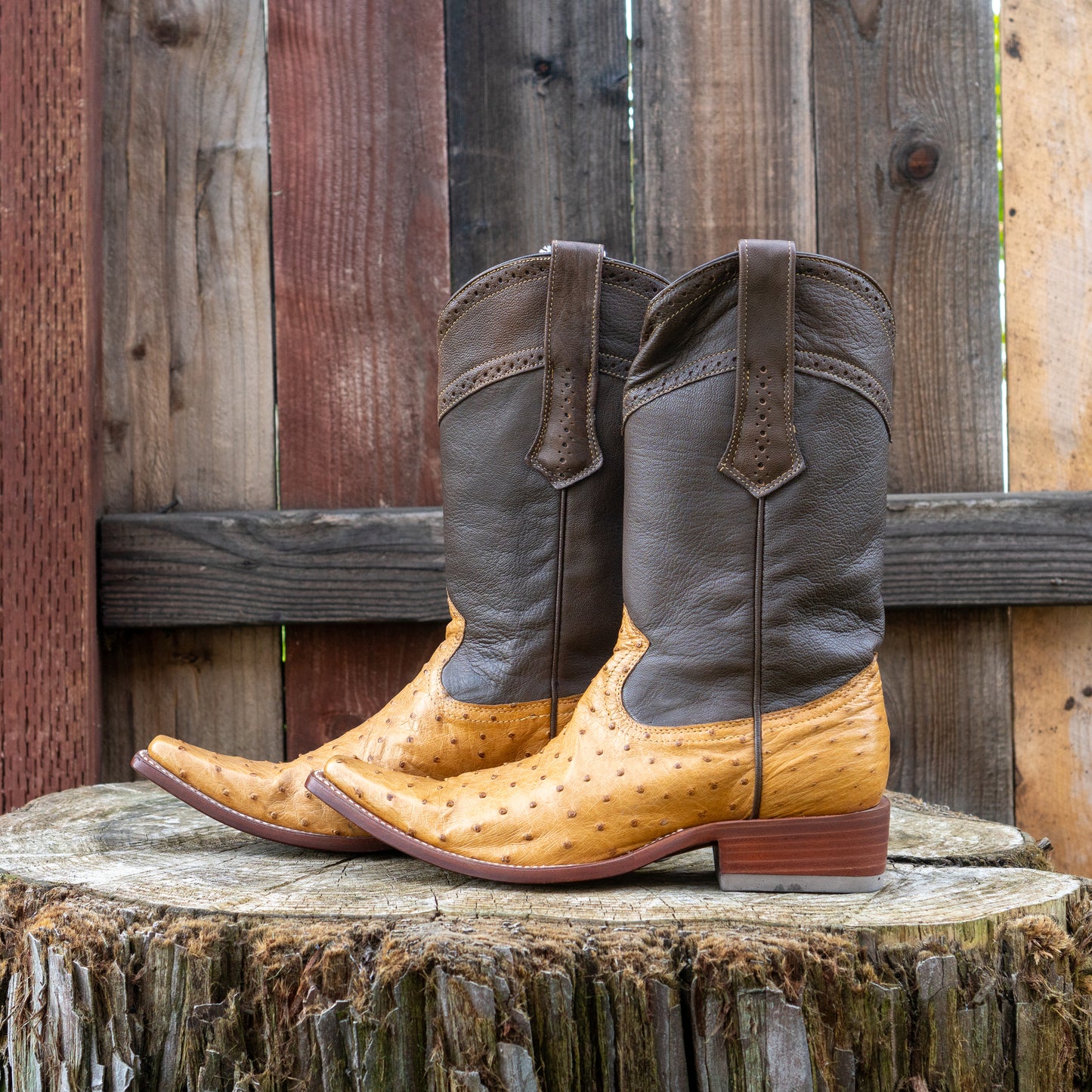 Cuadra Men's Ostrich Cowboy Boots in Straw Color