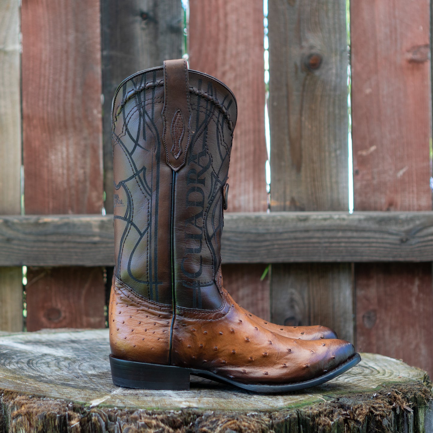 Cuadra Men's Ostrich Laser And Embroidery Round Toe Cowboy Boots in Honey