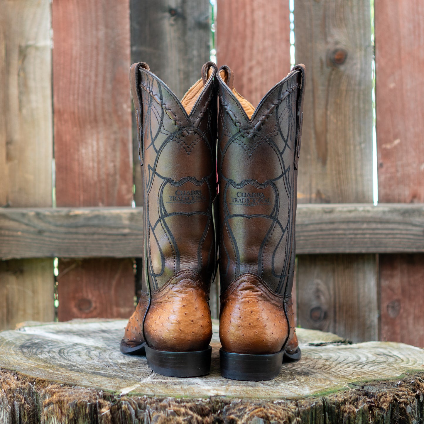 Cuadra Men's Ostrich Laser And Embroidery Round Toe Cowboy Boots in Honey