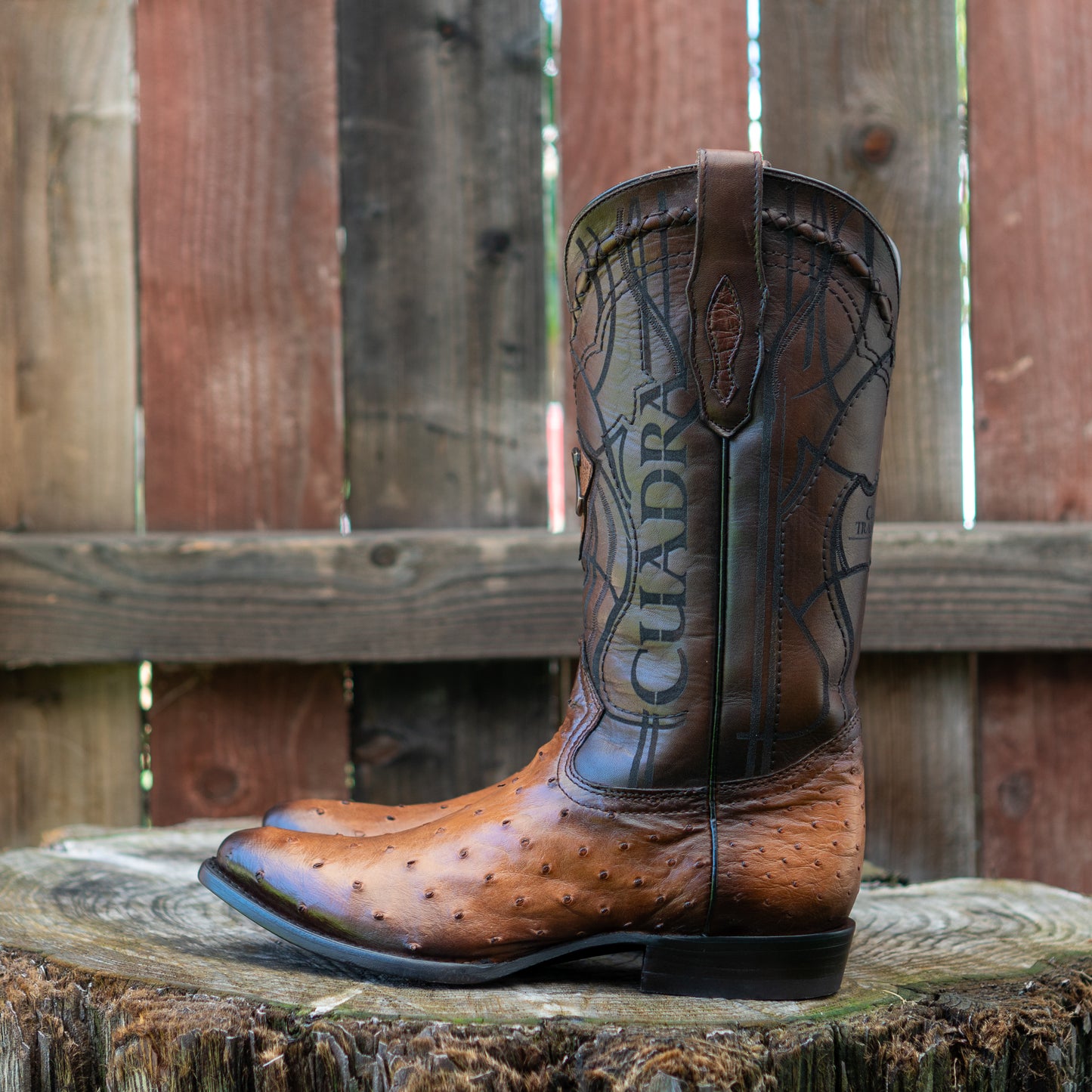 Cuadra Men's Ostrich Laser And Embroidery Round Toe Cowboy Boots in Honey