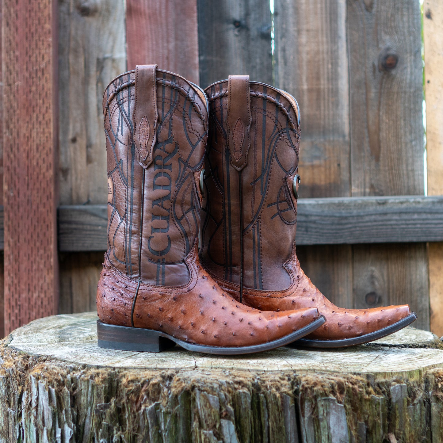Cuadra Men's Ostrich Cowboy Boots in Brown