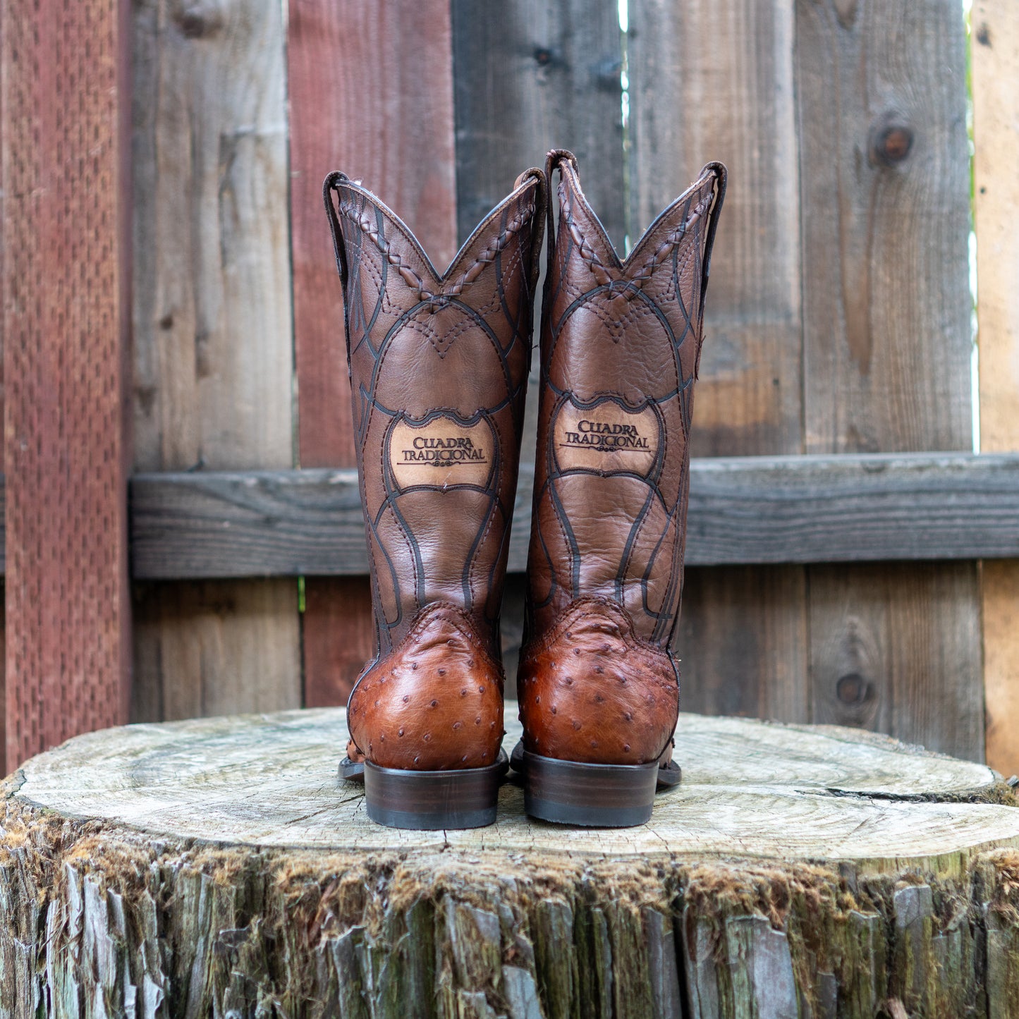 Cuadra Men's Ostrich Cowboy Boots in Brown