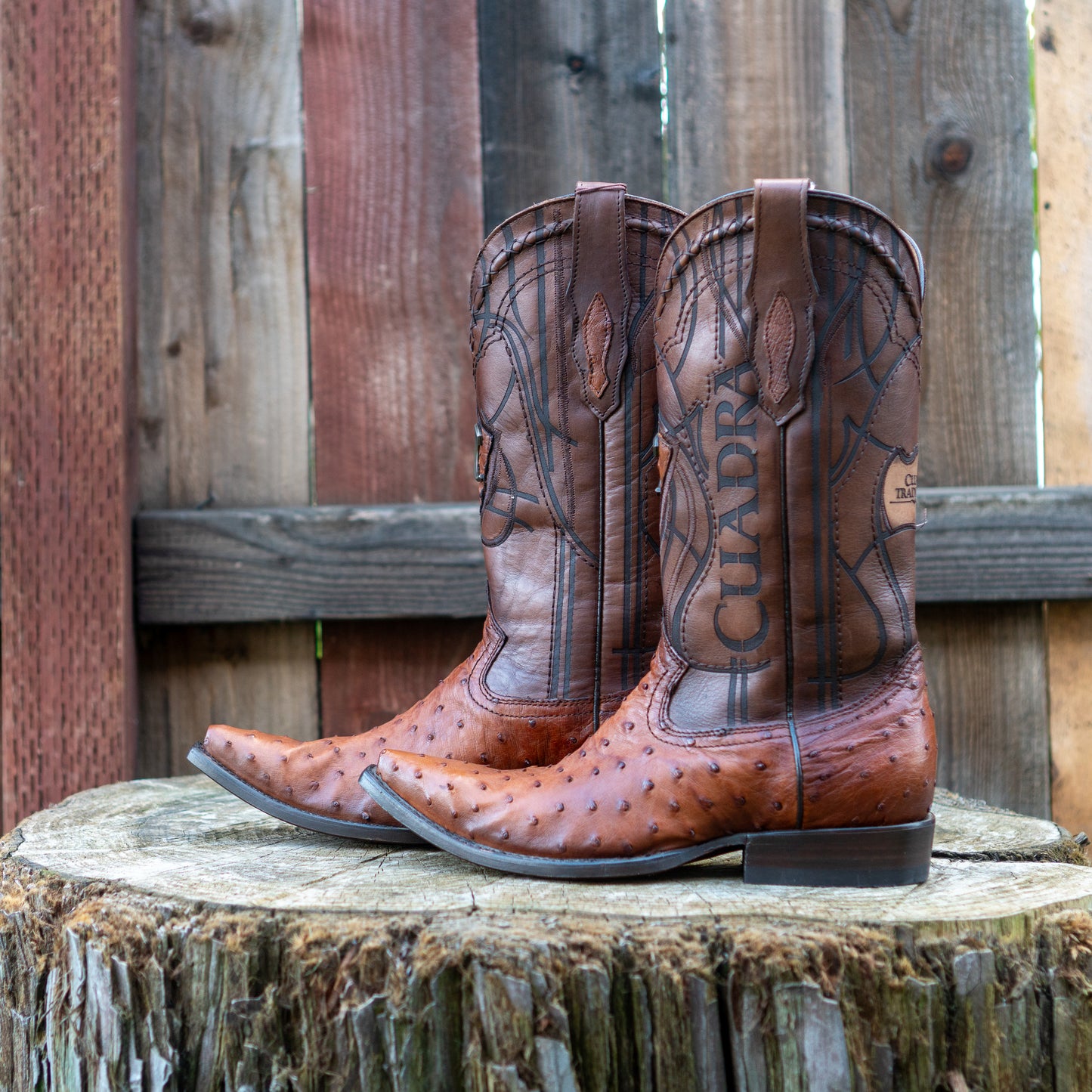Cuadra Men's Ostrich Cowboy Boots in Brown