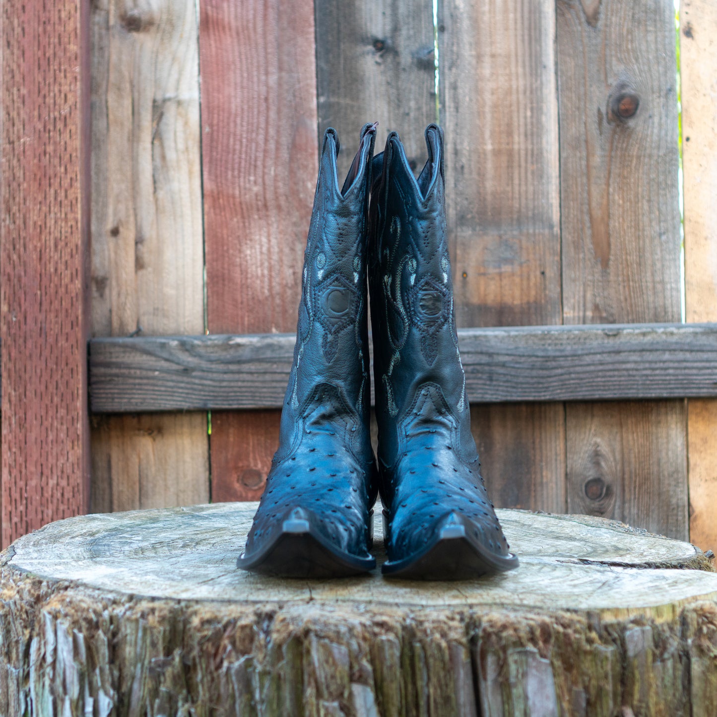 Cuadra Men's Ostrich Cowboy Boots in Black