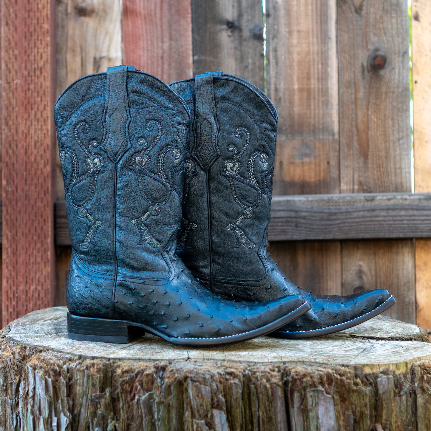 Cuadra Men's Ostrich Cowboy Boots in Black