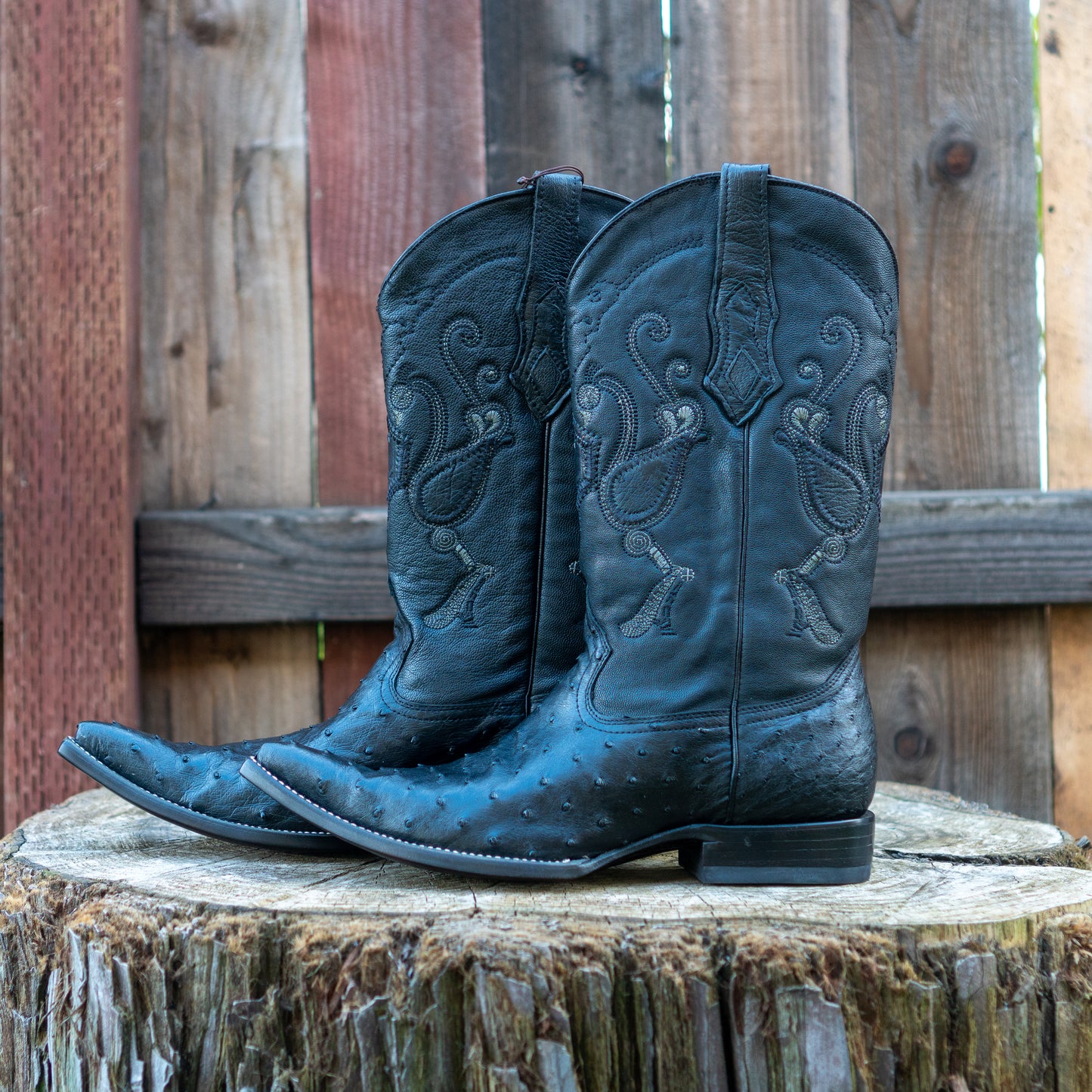 Cuadra Men's Ostrich Cowboy Boots in Black