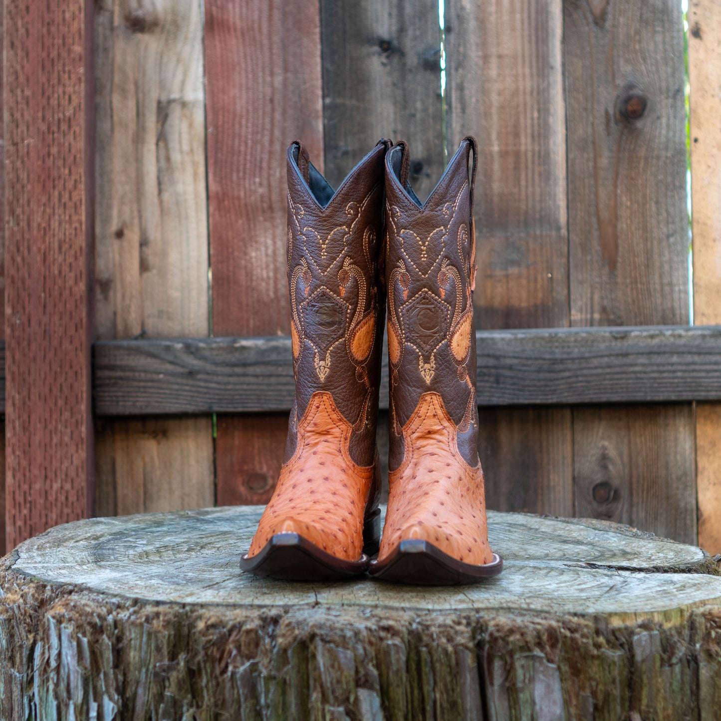 Cuadra Men's Ostrich Cowboy Boots in Honey