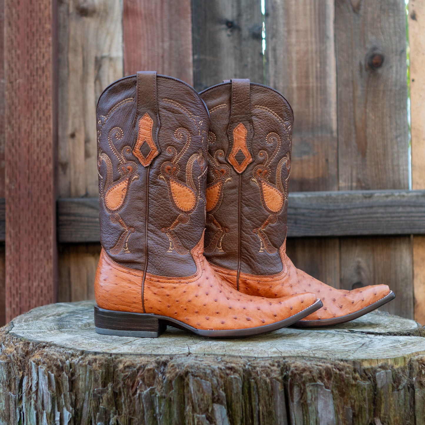 Cuadra Men's Ostrich Cowboy Boots in Honey