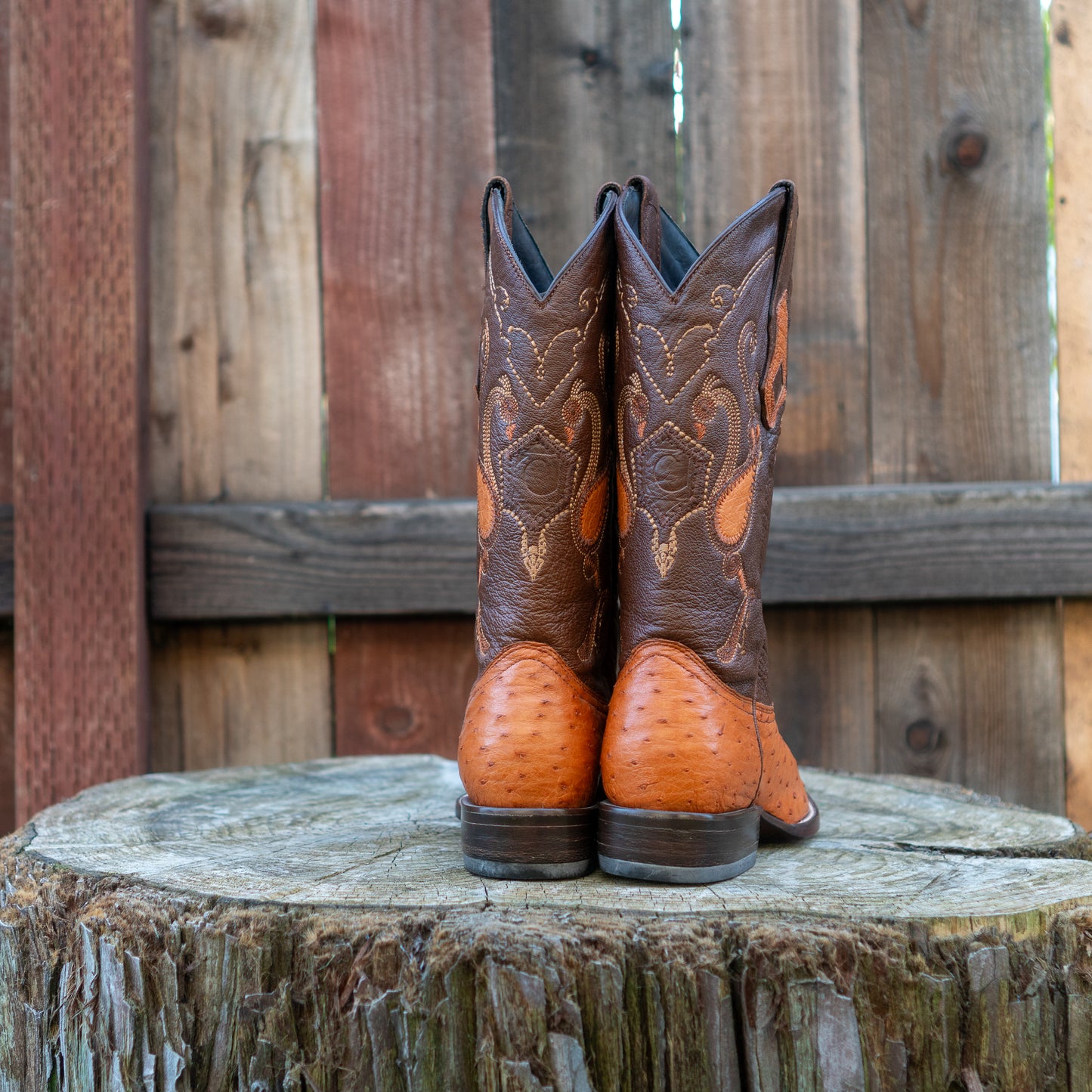 Cuadra Men's Ostrich Cowboy Boots in Honey
