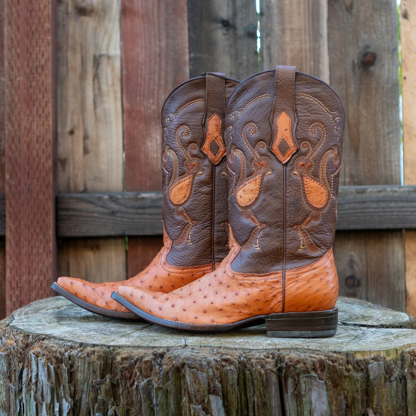 Cuadra Men's Ostrich Cowboy Boots in Honey